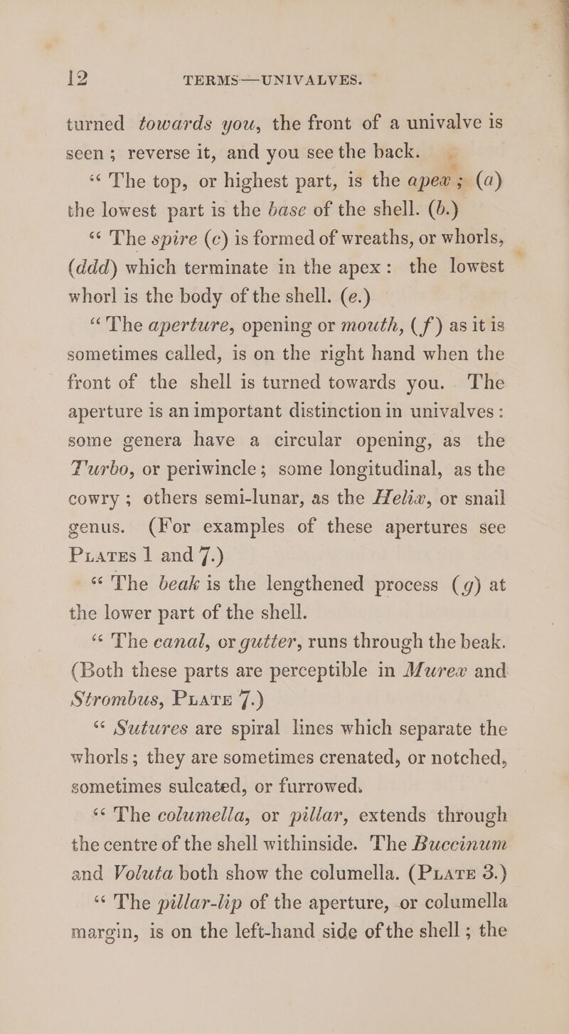 turned towards you, the front of a univalve is seen ; reverse it, and you see the back. Q ‘The top, or highest part, is the apew ; (a) the lowest part is the base of the shell. (0.) ‘‘ The spire (c) is formed of wreaths, or whorls, (ddd) which terminate in the apex: the lowest whorl is the body of the shell. (e.) “The aperture, opening or mouth, ( f) as it is sometimes called, is on the right hand when the front of the shell is turned towards you. The aperture is an important distinction in univalves: some genera have a circular opening, as the Turbo, or periwincle; some longitudinal, as the cowry ; others semi-lunar, as the Helix, or snail genus. (For examples of these apertures see Prates | and 7.) “The beak is the lengthened process (g) at the lower part of the shell. ‘“¢ The canal, or gutter, runs through the beak. (Both these parts are perceptible in Murex and Strombus, Puate 7.) * Stwres are spiral lines which separate the whorls; they are sometimes crenated, or notched, sometimes sulcated, or furrowed. ‘¢ The columella, or pillar, extends through the centre of the shell withinside. The Buccinum and Voluta both show the columella. (Pate 3.) ‘¢' The pillar-lip of the aperture, or columella margin, is on the left-hand side of the shell ; the