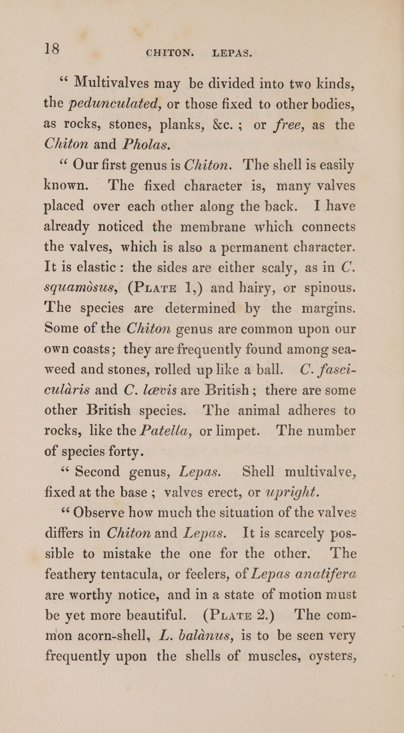 ‘* Multivalves may be divided into two kinds, the pedunculated, or those fixed to other bodies, as rocks, stones, planks, &amp;c.; or free, as the Chiton and Pholas. | “ Our first genus is Chiton. The shell is easily known. The fixed character is, many valves placed over each other along the back. I have already noticed the membrane which connects the valves, which is also a permanent character. It is elastic: the sides are either scaly, as in C. squamosus, (Puate 1,) and hairy, or spinous. The species are determined by the margins. Some of the Chiton genus are common upon our own coasts; they are frequently found among sea- weed and stones, rolled up like a ball. C. fasei- culdris and C. levis are British; there are some other British species. ‘The animal adheres to rocks, like the Patel/a, or limpet. The number of species forty. ““ Second genus, Lepas. Shell multivalve, fixed at the base ; valves erect, or upright. ‘“¢ Observe how much the situation of the valves differs in Chiton and Lepas. It is scarcely pos- sible to mistake the one for the other. The feathery tentacula, or feelers, of Lepas anatifera are worthy notice, and in a state of motion must be yet more beautiful. (Piate 2.) The com- mon acorn-shell, LZ. balanus, is to be seen very frequently upon the shells of muscles, oysters,