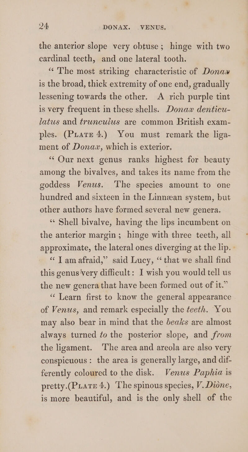 DA DONAX. VENUS. the anterior slope very obtuse; hinge with two cardinal teeth, and one lateral tooth. ‘“‘'The most striking characteristic of Donaw is the broad, thick extremity of one end, gradually lessening towards the other. &lt;A rich purple tint is very frequent in these shells. Donax denticu- latus and truncuius are common British exam- ples. (Puare 4.) You must remark the liga- ment of Donawz, which is exterior. “‘ Our next genus ranks highest for beauty among the bivalves, and takes its name from the goddess Venus. The species amount to one hundred and sixteen in the Linnzean system, but other authors have formed several new genera. ‘¢ Shell bivalve, having the lips incumbent on the anterior margin; hinge with three teeth, all approximate, the lateral ones diverging at the lip. » “ T amafraid,” said Lucy, “that we shall find this genus very difficult: I wish you would tell us the new genera that have been formed out of it.” ‘“‘ Learn first to know the general appearance of Venus, and remark especially the teeth. You may also bear in mind that the beaks are almost always turned ¢o the posterior slope, and from the ligament. ‘The area and areola are also very conspicuous: the area is generally large, and dif- ferently coloured to the disk. Venus Paphia is pretty.(PLatx 4.) The spinous species, V. Dione, is more beautiful, and is the only shell of the