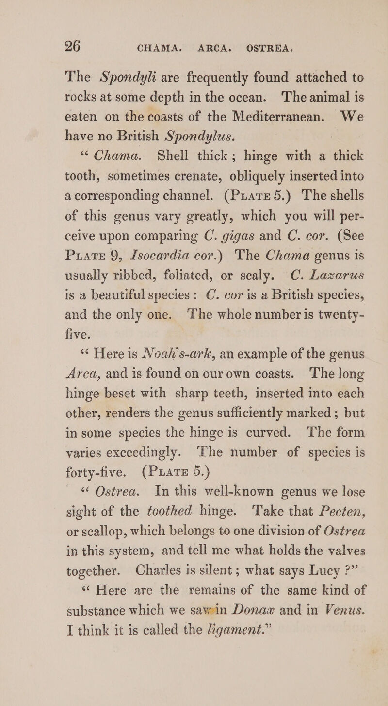 The Stpondyli are frequently found attached to rocks at some depth in the ocean. The animal is eaten on the coasts of the Mediterranean. We have no British Spondylus. “Chama. Shell thick; hinge with a thick tooth, sometimes crenate, obliquely inserted into a corresponding channel. (Pxiare 5.) The shells of this genus vary greatly, which you will per- celve upon comparing C. gigas and C. cor. (See Puate 9, Isocardia cor.) The Chama genus is usually ribbed, foliated, or scaly. C. Lazarus is a beautiful species: C. cor is a British species, and the only one. The whole number is twenty- five. ** Here is Noah’s-ark, an example of the genus Arca, and is found on our own coasts. The long hinge beset with sharp teeth, inserted into each other, renders the genus sufficiently marked ; but in some species the hinge is curved. The form varies exceedingly. ‘The number of species is forty-five. (Puare 5.) ‘‘ Ostrea. In this well-known genus we lose sight of the toothed hinge. Take that Pecten, or scallop, which belongs to one division of Ostrea in this system, and tell me what holds the valves together. Charles is silent; what says Lucy ?” “Here are the remains of the same kind of substance which we sawin Dona and in Venus. I think it is called the ligament.”