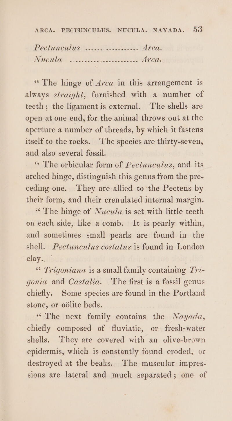 PeCEUNCULUS eo te ee oa Arca. IN CHG a ER Arca. ‘‘The hinge of Arca in this arrangement is always straight, furnished with a number of teeth ; the ligament is external. ‘The shells are open at one end, for the animal throws out at the aperture a number of threads, by which it fastens itself to the rocks. ‘The species are thirty-seven, and also several fossil. ‘“« The orbicular form of Pectunculus, and its arched hinge, distinguish this genus from the pre- ceding one. ‘They are allied to the Pectens by their form, and their crenulated internal margin. ‘“‘ The hinge of Nuwcula is set with little teeth on each side, like a comb. It is pearly within, and sometimes small pearls are found in the shell. Pectunculus costatus is found in London elay if ** Trigoniana is a small family containing 77/- gona and Castalia. 'The first is a fossil genus chiefly. Some species are found in the Portland stone, or oolite beds. “The next family contains the Nayada, chiefly composed of fluviatic, or. fresh-water shells. ‘hey are covered with an olive-brown epidermis, which is constantly found eroded, or destroyed at the beaks. The muscular impres- sions are lateral and much separated; one of