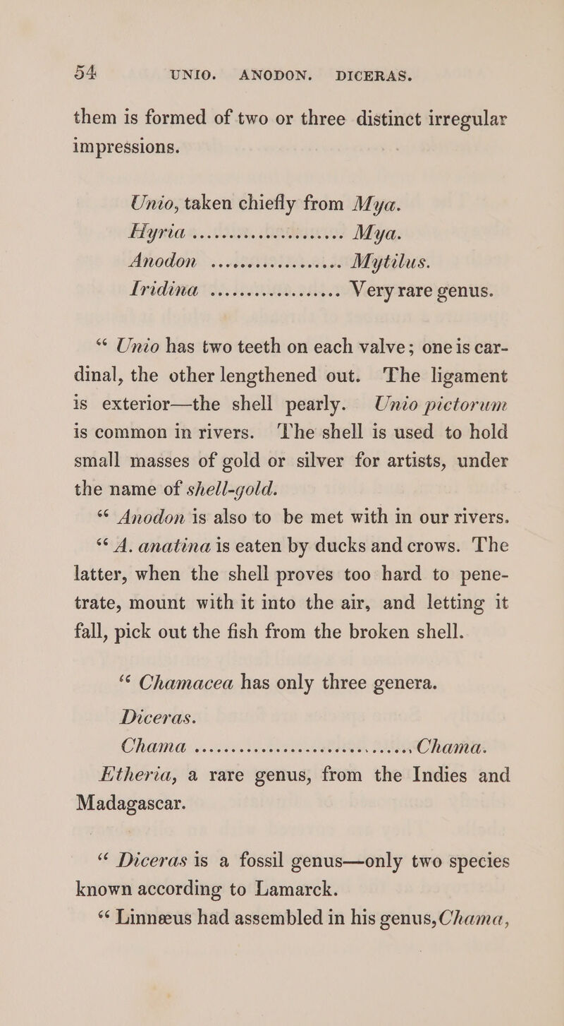 them is formed of two or three distinct irregular impressions. Unio, taken chiefly from Mya. PAG HO NO EOI Mya. MNODOW &gt;. ce tSII BAO Mytilus. PADRE IRAE .. Very rare genus. “¢ Unio has two teeth on each valve; one is car- dinal, the other lengthened out. The ligament is exterior—the shell pearly. Unio pictorum is common in rivers. ‘The shell is used to hold small masses of gold or silver for artists, under the name of shell-gold. ‘¢ Anodon is also to be met with in our rivers. ** A. anatina is eaten by ducks and crows. The latter, when the shell proves too hard to pene- trate, mount with it into the air, and letting it fall, pick out the fish from the broken shell. ‘6 Chamacea has only three genera. Diceras. CUO G6. BE RP OAS , Chama. Htheria, a rare genus, from the Indies and Madagascar. “ Diceras is a fossil genus—only two species known according to Lamarck. ** Linneeus had assembled in his genus, Chama,