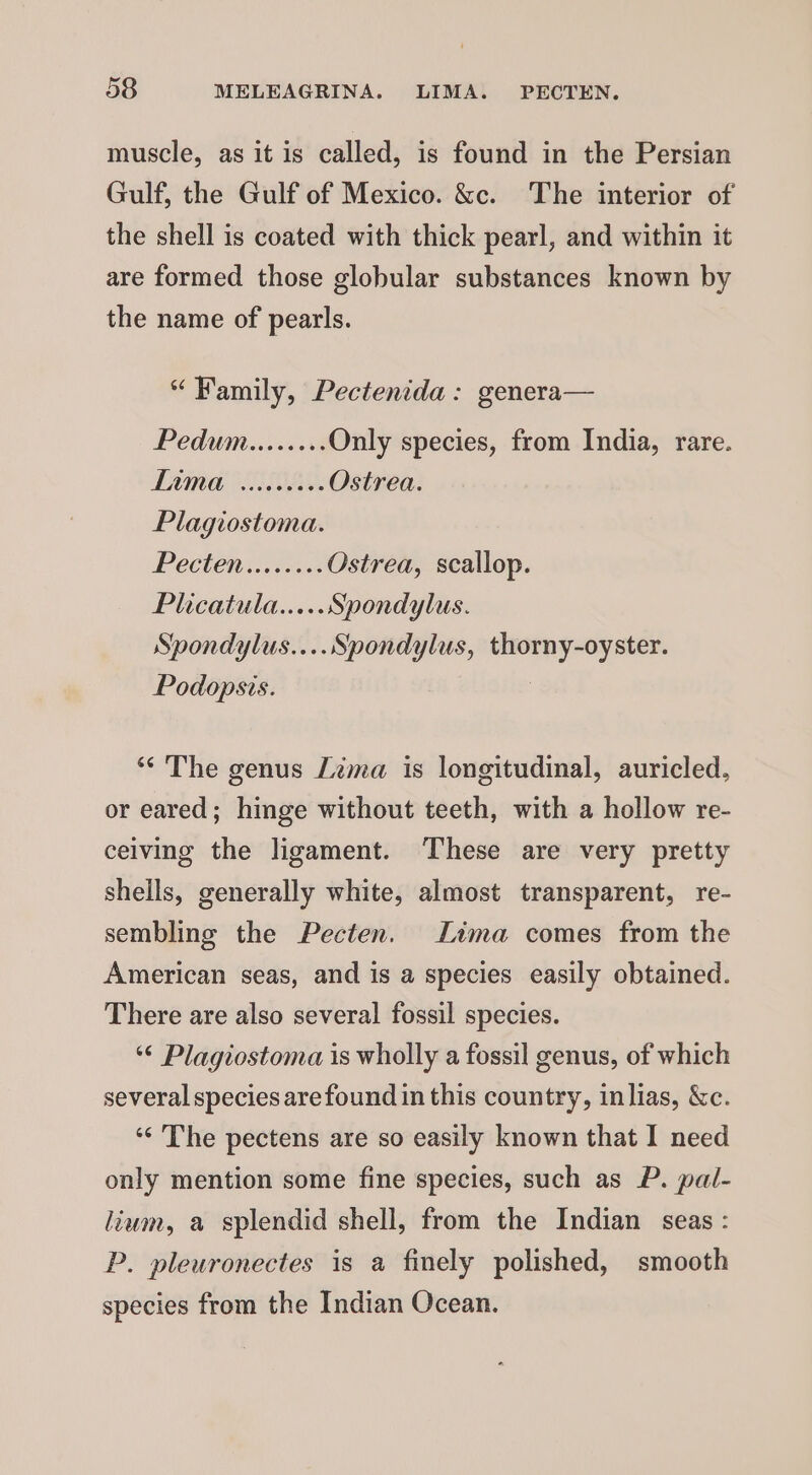 muscle, as it is called, is found in the Persian Gulf, the Gulf of Mexico. &amp;c. The interior of the shell is coated with thick pearl, and within it are formed those globular substances known by the name of pearls. “Family, Pectenida: genera— Pedum......+. Only species, from India, rare. LAME visceveee Ostrea. Plagiostoma. Pecteninwes Ostrea, scallop. Plhicatula.....Spondylus. Spondylus....Spondylus, thorny-oyster. Podopsis. “ The genus Lima is longitudinal, auricled, or eared; hinge without teeth, with a hollow re- ceiving the ligament. These are very pretty shells, generally white, almost transparent, re- sembling the Pecten. Lima comes from the American seas, and is a species easily obtained. There are also several fossil species. ‘© Plagiostoma is wholly a fossil genus, of which several species are found in this country, inlias, &amp;c. ‘‘ The pectens are so easily known that I need only mention some fine species, such as P. pal- lium, a splendid shell, from the Indian seas: P. pleuronectes is a finely polished, smooth species from the Indian Ocean.