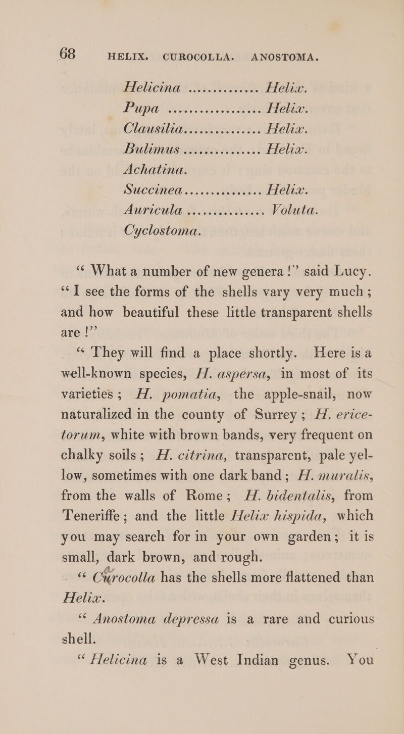 Hlelicing (.46..AKae Helix LUO ia shane Helix. CUSIP Re Aelia Biltngs career. a: Helix. Achatina. SUCCUNED »a00.4 ene.’ Helix. AUT CUA iicces veces Voluta. Cyclostoma. “© What a number of new genera!” said Lucy. ‘¢T see the forms of the shells vary very much ; and how beautiful these little transparent shells are |” “ They will find a place shortly. Here isa well-known species, H. aspersa, in most of its varieties ; H. pomatia, the apple-snail, now naturalized in the county of Surrey; H. erice- torum, white with brown bands, very frequent on chalky soils; H. citrina, transparent, pale yel- low, sometimes with one dark band; AH. muralis, from the walls of Rome; WH. dbidentalis, from Teneriffe ; and the little Helia hispida, which you may search for in your own garden; it is small, dark brown, and rough. ae Cxrocolla has the shells more flattened than Alelix. ‘© Anostoma depressa is a rare and curious shell. “ Flelicina 1s a West Indian genus. You