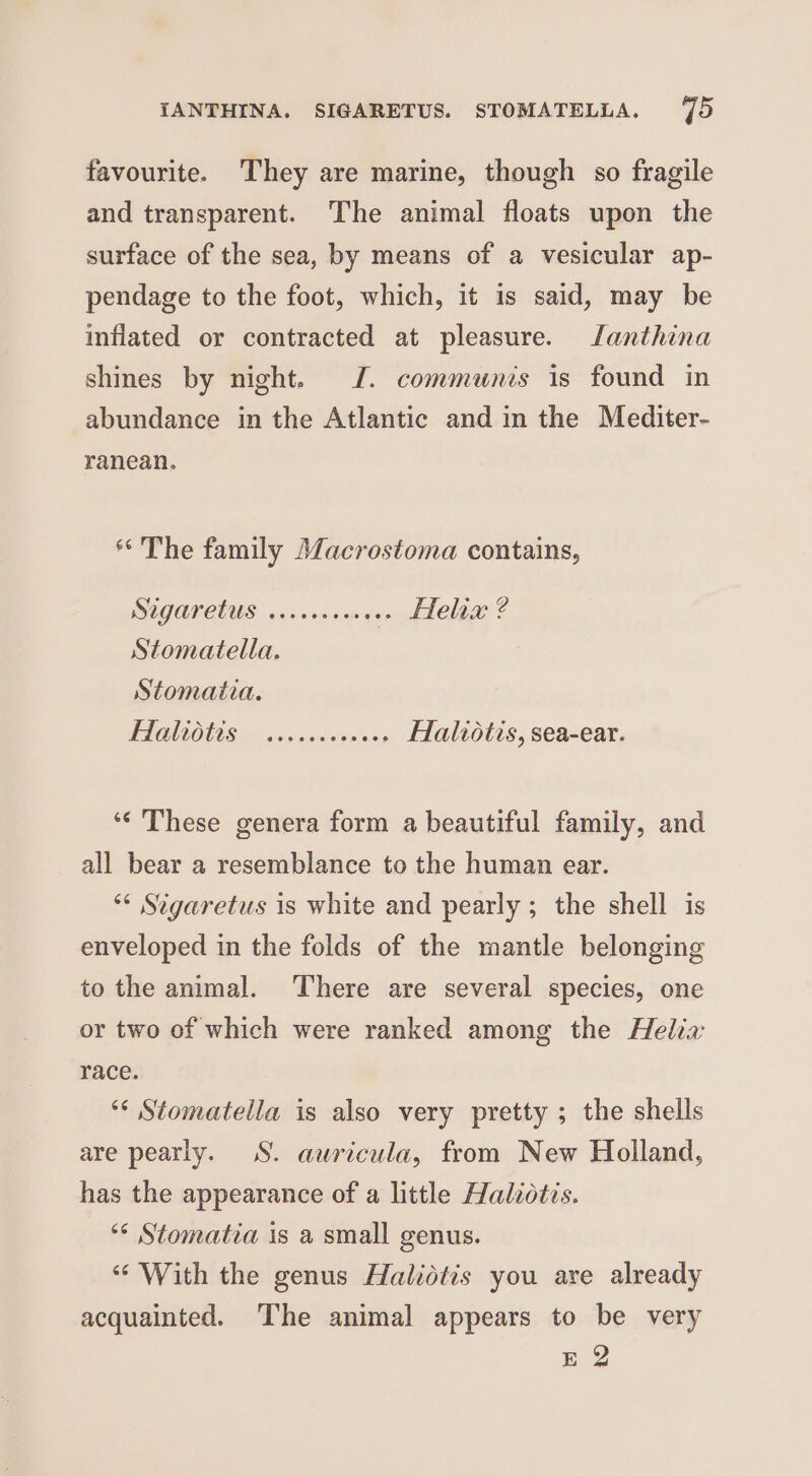 IANTHINA. SIGARETUS. STOMATELLA. 95 favourite. They are marine, though so fragile and transparent. The animal floats upon the surface of the sea, by means of a vesicular ap- pendage to the foot, which, it is said, may be inflated or contracted at pleasure. Janthina shines by night. J. communis is found in abundance in the Atlantic and in the Mediter- ranean. ‘The family Macrostoma contains, S2GOTCUUS. 6.0 vv scnecan, ALC © Stomatella. Stomatia. PP OLLOCUS io ay srercaisia'e ni Halvotis, sea-ear. ‘¢ These genera form a beautiful family, and all bear a resemblance to the human ear. ** Stgaretus is white and pearly ; the shell is enveloped in the folds of the mantle belonging to the animal. There are several species, one or two of which were ranked among the Helia: race. ‘&lt; Stomatella is also very pretty ; the shells are pearly. SS. auricula, from New Holland, has the appearance of a little Halidtis. ‘* Stomatia is a small genus. “With the genus Halidtis you are already acquainted. The animal appears to be very E 2