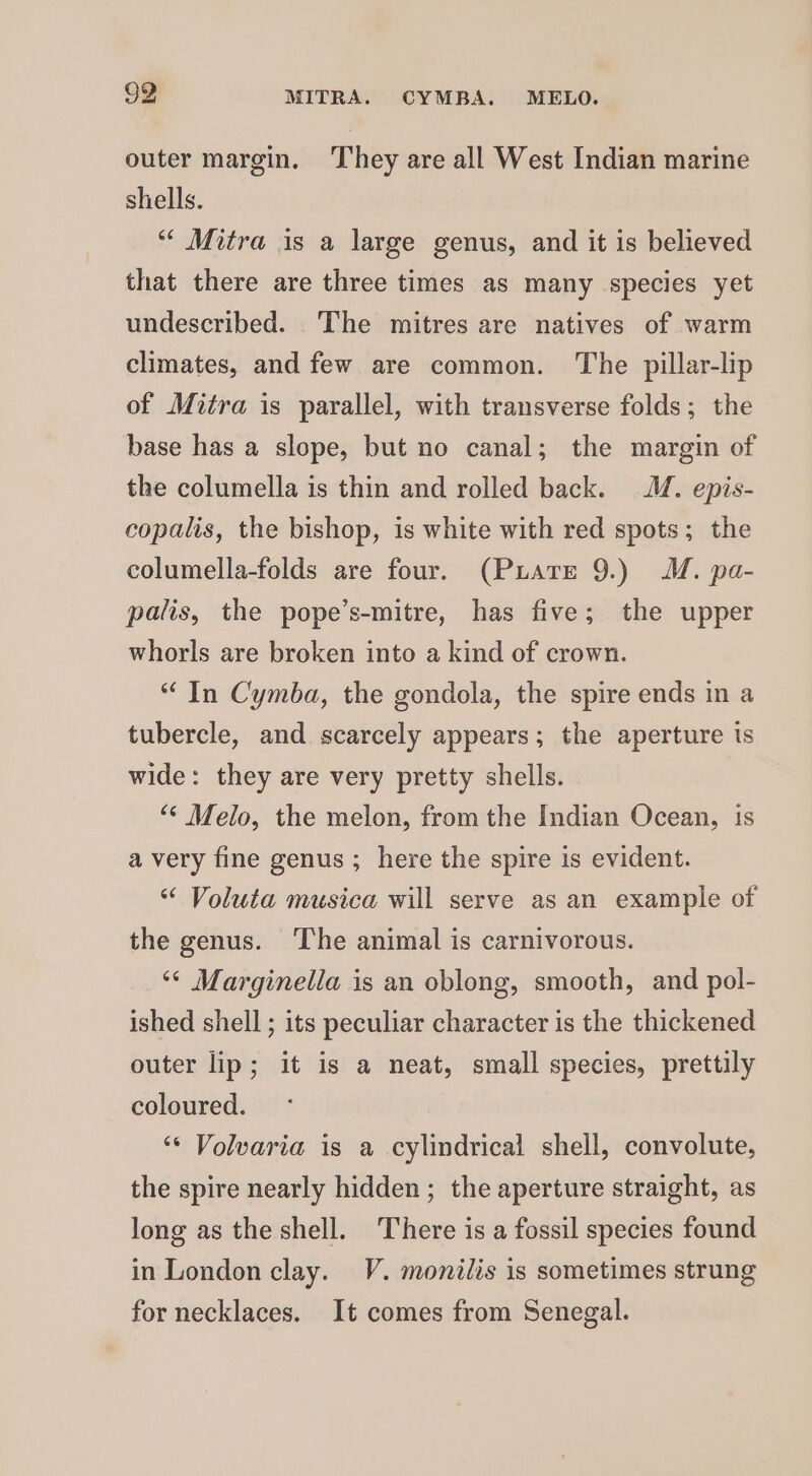 outer margin. They are all West Indian marine shells. ““ Mitra is a large genus, and it is believed that there are three times as many species yet undescribed. The mitres are natives of warm climates, and few are common. The pillar-lip of Mitra is parallel, with transverse folds; the base has a slope, but no canal; the margin of the columella is thin and rolled back. M. epis- copalis, the bishop, is white with red spots; the columella-folds are four. (Puarre 9.) MM. pa- palis, the pope’s-mitre, has five; the upper whorls are broken into a kind of crown. “In Cymba, the gondola, the spire ends in a tubercle, and scarcely appears; the aperture ts wide: they are very pretty shells. ‘© Melo, the melon, from the Indian Ocean, is a very fine genus ; here the spire is evident. “ Voluta musica will serve as an example of the genus. The animal is carnivorous. ‘* Marginella is an oblong, smooth, and pol- ished shell ; its peculiar character is the thickened outer lip; it is a neat, small species, prettily coloured. ‘* Volvaria is a cylindrical shell, convolute, the spire nearly hidden ; the aperture straight, as long as the shell. There is a fossil species found in London clay. V. monilis is sometimes strung for necklaces. It comes from Senegal.