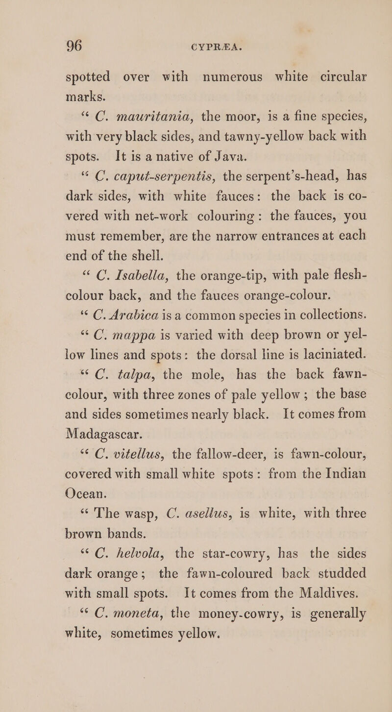spotted over with numerous white circular marks. “ C. mauritania, the moor, is a fine species, with very black sides, and tawny-yellow back with spots. It is a native of Java. “ C. caput-serpentis, the serpent’s-head, has dark sides, with white fauces: the back is co- vered with net-work colouring: the fauces, you must remember, are the narrow entrances at each end of the shell. “C. Isabella, the orange-tip, with pale flesh- colour back, and the fauces orange-colour. ‘““ C. Arabica is a common species in collections. “‘ C’, mappa is varied with deep brown or yel- low lines and spots: the dorsal line is laciniated. “ C. talpa, the mole, has the back fawn- colour, with three zones of pale yellow; the base and sides sometimes nearly black. It comes from Madagascar. “ C. vitellus, the fallow-deer, is fawn-colour, covered with small white spots: from the Indian Ocean. “The wasp, C. asellus, is white, with three brown bands. ““C. helvola, the star-cowry, has the sides dark orange; the fawn-coloured back studded with small spots. It comes from the Maldives. ‘* C. moneta, the money-cowry, is generally white, sometimes yellow.