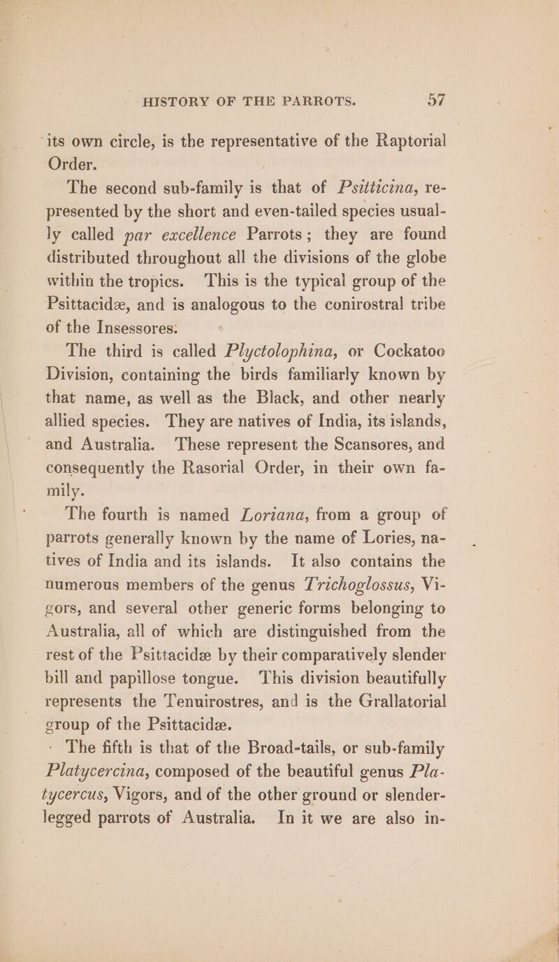 ‘its own circle, is the representative of the Raptorial Order. | The second sub-family is that of Pszttzcena, re- presented by the short and even-tailed species usual- ly called par excellence Parrots; they are found distributed throughout all the divisions of the globe within the tropics. This is the typical group of the Psittacide, and is analogous to the conirostral tribe of the Insessores: The third is called Plyctolophina, or Cockatoo Division, containing the birds familiarly known by that name, as well as the Black, and other nearly allied species. They are natives of India, its islands, and Australia. These represent the Scansores, and consequently the Rasorial Order, in their own fa- mily. The fourth is named Loriana, from a group of parrots generally known by the name of Lories, na- tives of India and its islands. It also contains the numerous members of the genus Trichoglossus, Vi- gors, and several other generic forms belonging to Australia, all of which are distinguished from the rest of the Psittacide by their comparatively slender bill and papillose tongue. This division beautifully represents the Tenuirostres, and is the Grallatorial group of the Psittacide. - The fifth is that of the Broad-tails, or sub-family Platycercina, composed of the beautiful genus Pla- tycercus, Vigors, and of the other ground or slender- legged parrots of Australia. In it we are also in-