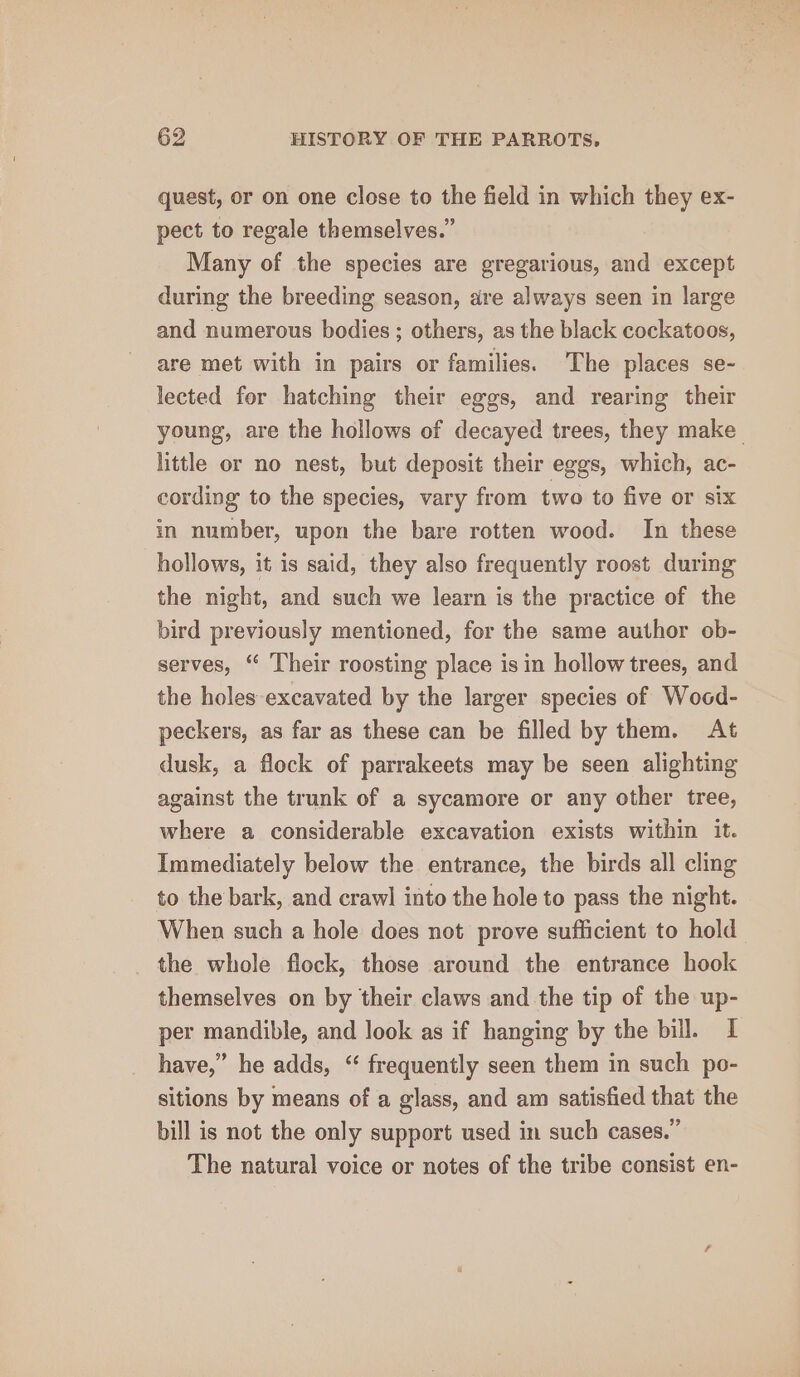 quest, or on one close to the field in which they ex- pect to regale themselves.” Many of the species are gregarious, and except during the breeding season, dre always seen in large and numerous bodies; others, as the black cockatoos, are met with in pairs or families. The places se- lected for hatching their eggs, and rearing their young, are the hollows of decayed trees, they make little or no nest, but deposit their eggs, which, ac- cording to the species, vary from two to five or six in number, upon the bare rotten wood. In these hollows, it is said, they also frequently roost during the night, and such we learn is the practice of the bird previously mentioned, for the same author ob- serves, “ Their roosting place is in hollow trees, and the holes excavated by the larger species of Woed- peckers, as far as these can be filled by them. At dusk, a flock of parrakeets may be seen alighting against the trunk of a sycamore or any other tree, where a considerable excavation exists within it. Immediately below the entrance, the birds all cling to the bark, and crawl into the hole to pass the night. When such a hole does not prove sufficient to hold the whole flock, those around the entrance hook themselves on by their claws and the tip of the up- per mandible, and look as if hanging by the bill. I have,” he adds, ‘‘ frequently seen them in such po- sitions by means of a glass, and am satisfied that the bill is not the only support used in such cases.” The natural voice or notes of the tribe consist en-