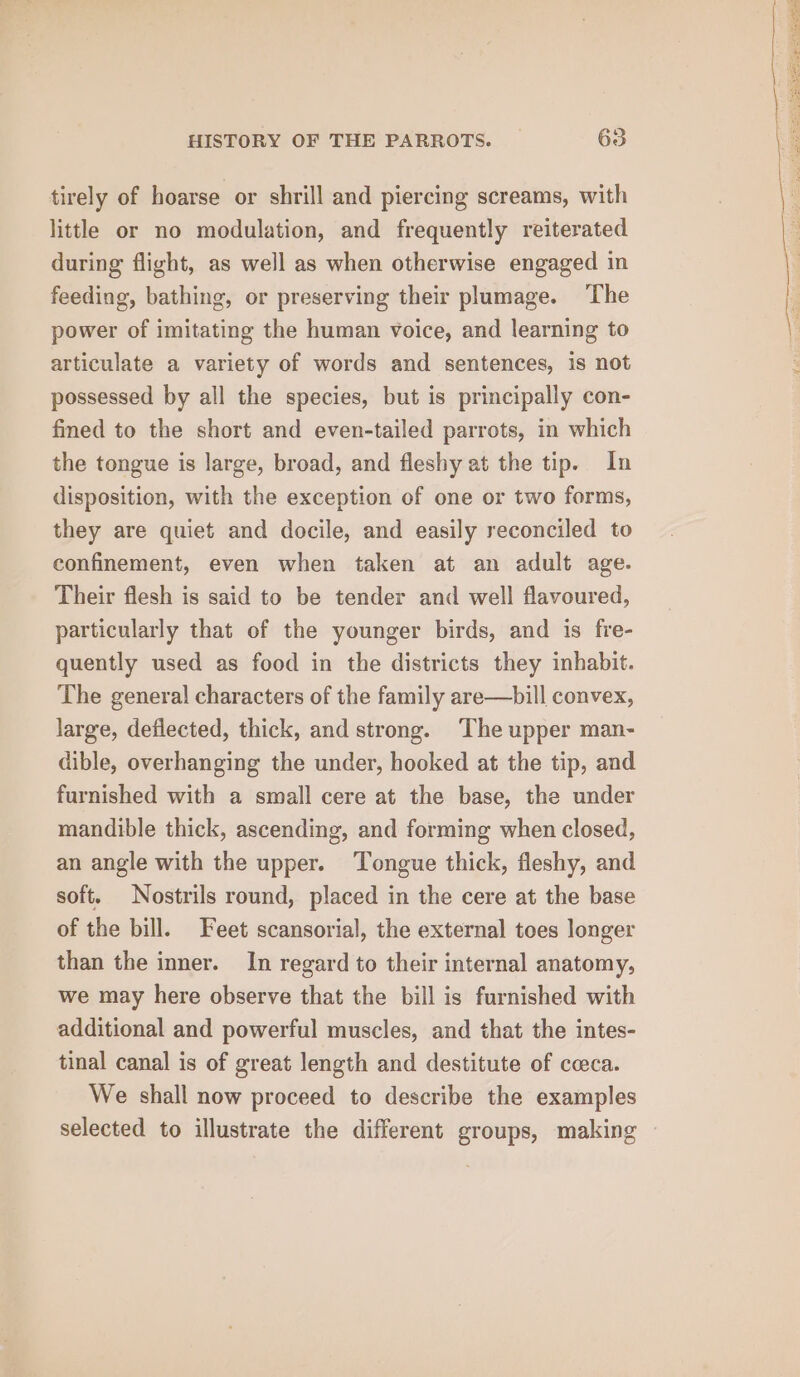 tirely of hoarse or shrill and piercing screams, with little or no modulation, and frequently reiterated during flight, as well as when otherwise engaged in feeding, bathing, or preserving their plumage. The power of imitating the human voice, and learning to articulate a variety of words and sentences, is not possessed by all the species, but is principally con- fined to the short and even-tailed parrots, in which the tongue is large, broad, and fleshy at the tip. In disposition, with the exception of one or two forms, they are quiet and docile, and easily reconciled to confinement, even when taken at an adult age. Their flesh is said to be tender and well flavoured, particularly that of the younger birds, and is fre- quently used as food in the districts they inhabit. The general characters of the family are—bill convex, large, deflected, thick, and strong. ‘The upper man- dible, overhanging the under, hooked at the tip, and furnished with a small cere at the base, the under mandible thick, ascending, and forming when closed, an angle with the upper. Tongue thick, fleshy, and soft. Nostrils round, placed in the cere at the base of the bill. Feet scansorial, the external toes longer than the inner. In regard to their internal anatomy, we may here observe that the bill is furnished with additional and powerful muscles, and that the intes- tinal canal is of great length and destitute of ceca. We shall now proceed to describe the examples selected to illustrate the different groups, making