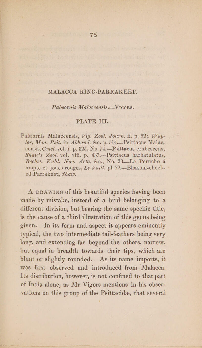 79 MALACCA RING-PARRAKEET. Paleornis Malaccensis.—Vi1Gors. PLATE III. Paleornis Malaccensis, Vig. Zool. Journ. ii. p. 52; Wag- ler, Mon. Psit. in Abhand. &amp;c. p. 514.—Psittacus Malac- censis, Gmel. vol. i. p. 325, No. 74.—Psittacus erubescens, Shaw’s Zool. vol. viii. p. 437.—Psittacus barbatulatus, Bechst. Kuhl. Nov. Acta. &amp;c., No. 38.—La Peruche 4 nuque et. joues rouges, Le Vaill. pl. 72.—Blossom-cheek- ed Parrakeet, Shaw. A DRAWING of this beautiful species having been made by mistake, instead of a bird belonging to a different division, but bearing the same specific title, is the cause of a third illustration of this genus being given. In its form and aspect it appears eminently typical, the two intermediate tail-feathers being very long, and extending far beyond the others, narrow, but equal in breadth towards their tips, which are blunt or slightly rounded. As its name imports, it was first observed and introduced from Malacca. Its distribution, however, is not confined to that part of India alone, as Mr Vigors mentions in his obser- vations on this group of the Psittacide, that several