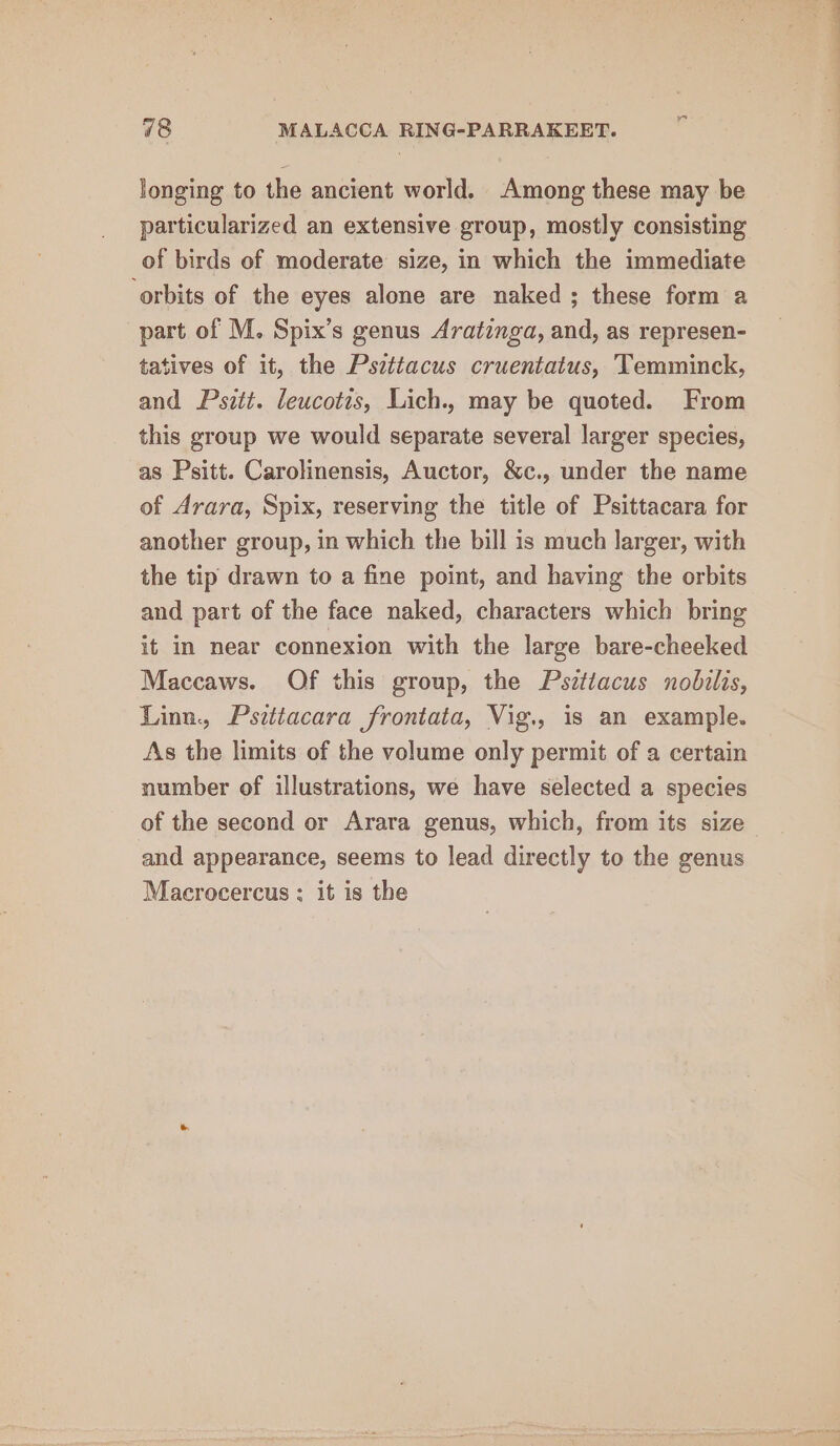 longing to the ancient world. Among these may be particularized an extensive group, mostly consisting of birds of moderate size, in which the immediate ‘orbits of the eyes alone are naked; these form a part of M. Spix’s genus Aratinga, and, as represen- tatives of it, the Psittacus cruentatus, Temminck, and Psitt. leucotis, Lich., may be quoted. From this group we would separate several larger species, as Psitt. Carolinensis, Auctor, &amp;c., under the name of Arara, Spix, reserving the title of Psittacara for another group, in which the bill is much larger, with the tip drawn to a fine point, and having the orbits and part of the face naked, characters which bring it in near connexion with the large bare-cheeked Maccaws. Of this group, the Pszttacus nobilis, Linn., Pszttacara frontata, Vig., is an example. As the limits of the volume only permit of a certain number of illustrations, we have selected a species of the second or Arara genus, which, from its size and appearance, seems to lead directly to the genus Macrocercus : it is the