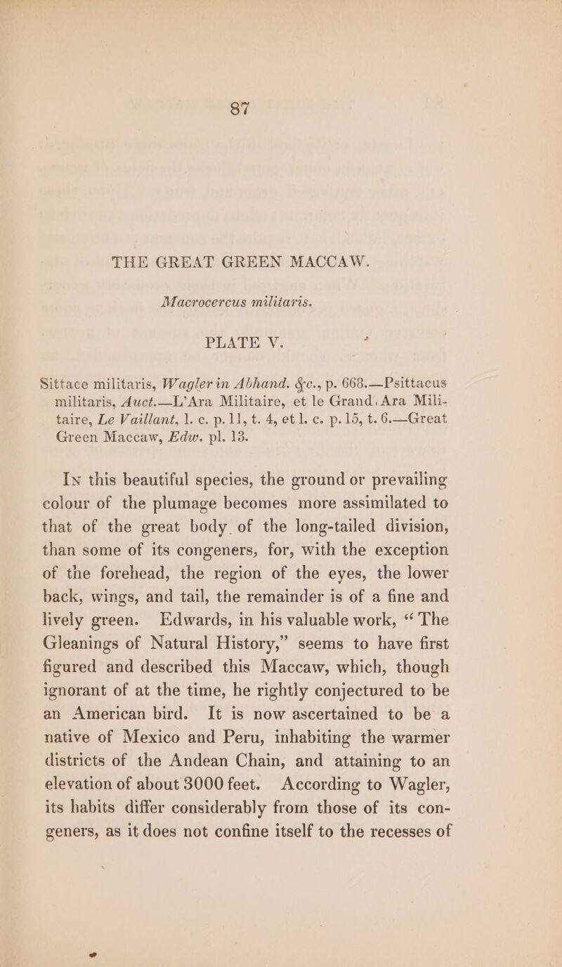 THE GREAT GREEN MACCAW. Macrocercus militaris. PLATE. V. : Sittace militaris, Wagler in Abhand. &amp;c., p. 668.—Psittacus militaris, duct.—L’Ara Militaire, et le Grand, Ara Mili- taire, Le Vaillant, 1. c. p.11, t. 4, etl. c. p. 15, t. 6. Great Green Maccaw, Edw. pl. 13. Iw this beautiful species, the ground or prevailing colour of the plumage becomes more assimilated to that of the great body of the long-tailed division, than some of its congeners, for, with the exception of the forehead, the region of the eyes, the lower back, wings, and tail, the remainder is of a fine and lively green. Edwards, in his valuable work, ‘“‘ The Gleanings of Natural History,” seems to have first figured and described this Maccaw, which, though ignorant of at the time, he rightly conjectured to be an American bird. It is now ascertained to be a native of Mexico and Peru, inhabiting the warmer districts of the Andean Chain, and attaining to an elevation of about 3000 feet. According to Wagler, its habits differ considerably from those of its con- geners, as it does not confine itself to the recesses of