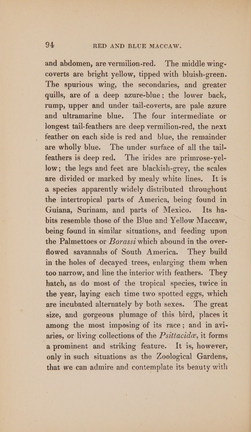 and abdomen, are vermilion-red. The middle wing- coverts are bright yellow, tipped with bluish-green. The spurious wing, the secondaries, and greater quills, are of a deep azure-blue; the lower back, rump, upper and under tail-coverts, are pale azure and ultramarine blue. The four intermediate or longest tail-feathers are deep vermilion-red, the next feather on each side is red and blue, the remainder are wholly blue. The under surface of all the tail- feathers is deep red. ‘The irides are primrose-yel- low; the legs and feet are blackish-grey, the scales are divided or marked by mealy white lines. It is a species apparently widely distributed throughout the intertropical parts of America, being found in Guiana, Surinam, and parts of Mexico. Its ha- bits resemble those of the Blue and Yellow Maccaw, being found in similar situations, and feeding upon the Palmettoes or Borassz which abound in the over- flowed savannahs of South America. They build in the holes of decayed trees, enlarging them when too narrow, and line the interior with feathers. They hatch, as do most of the tropical species, twice in the year, laying each time two spotted eggs, which are incubated alternately by both sexes. ‘The great size, and gorgeous plumage of this bird, places it among the most imposing of its race; and in avi- aries, or living collections of the Pszttacide, it forms a prominent and striking feature. It is, however, only in such situations as the Zoological Gardens, that we can admire and contemplate its beauty with