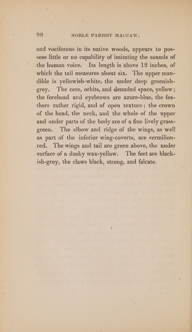 and vociferous in its native woods, appears to pos- sess little or no capability of imitating the sounds of the human voice. Its length is above 12 inches, of which the tail measures about six. The upper man- dible is yellowish-white, the under deep greenish- grey. The cere, orbits, and denuded space, yellow ; the forehead and eyebrows are azure-blue, the fea- thers rather rigid, and of open texture; the crown of the head, the neck, and the whole of the upper and under parts of the body are of a fine lively grass- green. ‘The elbow and ridge of the wings, as wel! as part of the inferior wing-coverts, are vermilion- red. The wings and tail are green above, the under surface of a dusky wax-yellow. The feet are black- ish-grey, the claws black, strong, and falcate.