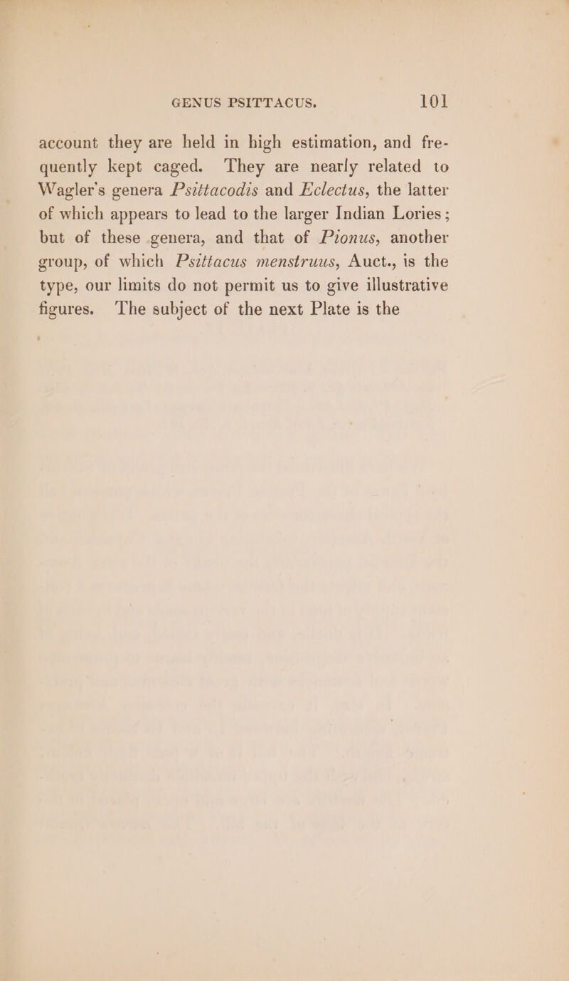 account they are held in high estimation, and fre- quently kept caged. They are nearly related to Wagler’s genera Pszttacodis and Eclectus, the latter of which appears to lead to the larger Indian Lories ; but of these genera, and that of Pronus, another group, of which Pszttacus menstruus, Auct., is the type, our limits do not permit us to give illustrative figures. The subject of the next Plate is the