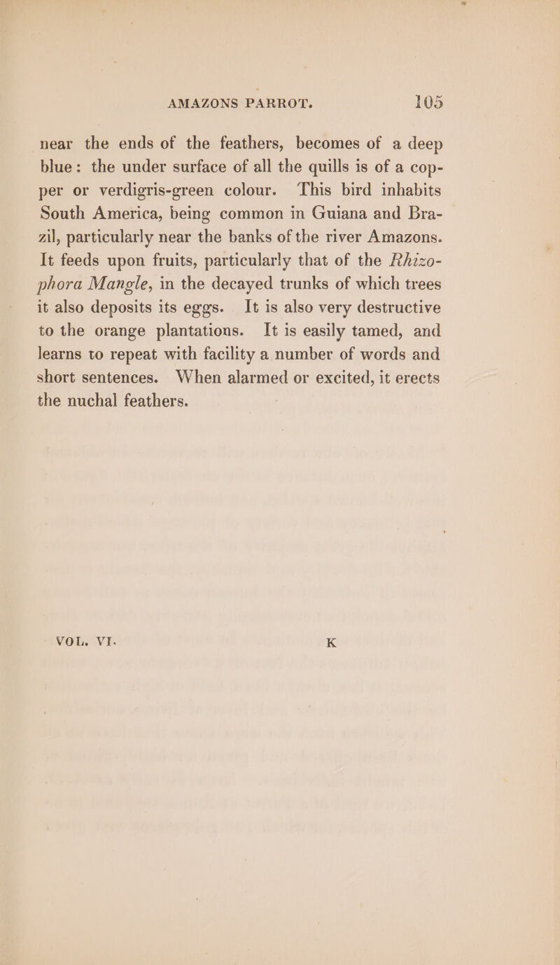 near the ends of the feathers, becomes of a deep blue: the under surface of all the quills is of a cop- per or verdigris-green colour. This bird inhabits South America, being common in Guiana and Bra- zil, particularly near the banks of the river Amazons. It feeds upon fruits, particularly that of the Rhzzo- phora Mangle, in the decayed trunks of which trees it also deposits its eggs. It is also very destructive to the orange plantations. It is easily tamed, and learns to repeat with facility a number of words and short sentences. When alarmed or excited, it erects the nuchal feathers. VOL. VI. K
