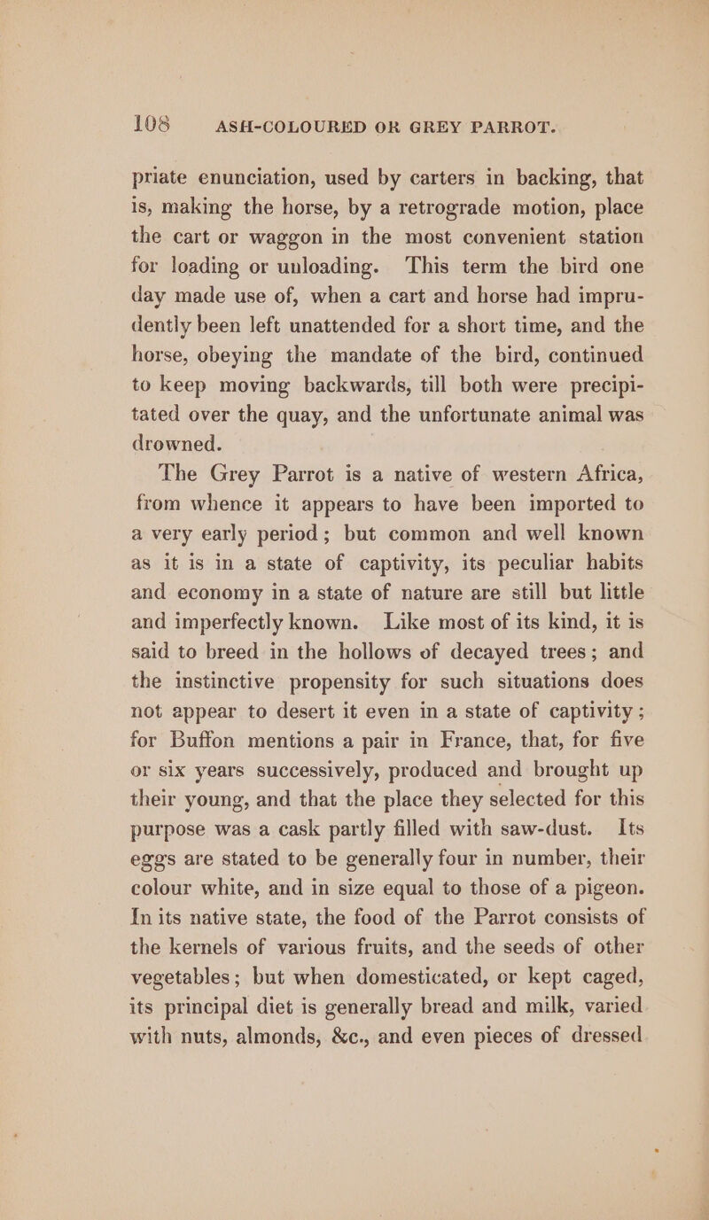 priate enunciation, used by carters in backing, that is, making the horse, by a retrograde motion, place the cart or waggon in the most convenient station for loading or unloading. This term the bird one day made use of, when a cart and horse had impru- dently been left unattended for a short time, and the horse, obeying the mandate of the bird, continued to keep moving backwards, till both were precipi- tated over the quay, and the unfortunate animal was drowned. The Grey Parrot is a native of western Africa, from whence it appears to have been imported to a very early period; but common and well known as it is in a state of captivity, its peculiar habits and economy in a state of nature are still but little and imperfectly known. Like most of its kind, it is said to breed in the hollows of decayed trees; and the instinctive propensity for such situations does not appear to desert it even in a state of captivity ; for Buffon mentions a pair in France, that, for five or six years successively, produced and brought up their young, and that the place they selected for this purpose was a cask partly filled with saw-dust. Its eggs are stated to be generally four in number, their colour white, and in size equal to those of a pigeon. In its native state, the food of the Parrot consists of the kernels of various fruits, and the seeds of other vegetables; but when domesticated, or kept caged, its principal diet is generally bread and milk, varied with nuts, almonds, &amp;c., and even pieces of dressed