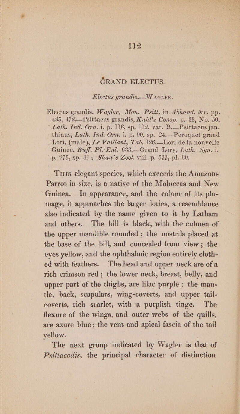 GRAND ELECTUS. Electus grandis.—W AGLER. Electus grandis, Wagler, Mon. Psitt. in Abhand. &amp;c. pp. 495, 472.—Psittacus grandis, Kuhi’s Consp. p. 38, No. 50. Lath. Ind. Orn. i. p. 116, sp. 112, var. B.—Psittacus jan- thinus, Lath. Ind. Orn. i. p. 90, sp. 24.—Peroquet grand _ Lori, (male), Le Vaillant, Tab. 126.—Lori de la nouvelle Guinee, Buff. PlEnl. 683.—Grand Lory, Lath. Syn. i. p. 275, sp. 813 Shaw’s Zool. viii. p. 533, pl. 80. Tuis elegant species, which exceeds the Amazons Parrot in size, is a native of the Moluccas and New Guinea. In appearance, and the colour of its plu- mage, it approaches the larger lories, a resemblance also indicated by the name given to it by Latham and others. The bill is black, with the culmen of the upper mandible rounded ; the nostrils placed at the base of the bill, and concealed from view; the eyes yellow, and the ophthalmic region entirely cloth- ed with feathers. The head and upper neck are of a rich crimson red ; the lower neck, breast, belly, and upper part of the thighs, are lilac purple ; the man- tle, back, scapulars, wing-coverts, and upper tail- coverts, rich scarlet, with a purplish tinge. The flexure of the wings, and outer webs of the quills, are azure blue; the vent and apical fascia of the tail yellow. The next group indicated by Wagler is that of Psittacodis, the principal character of distinction