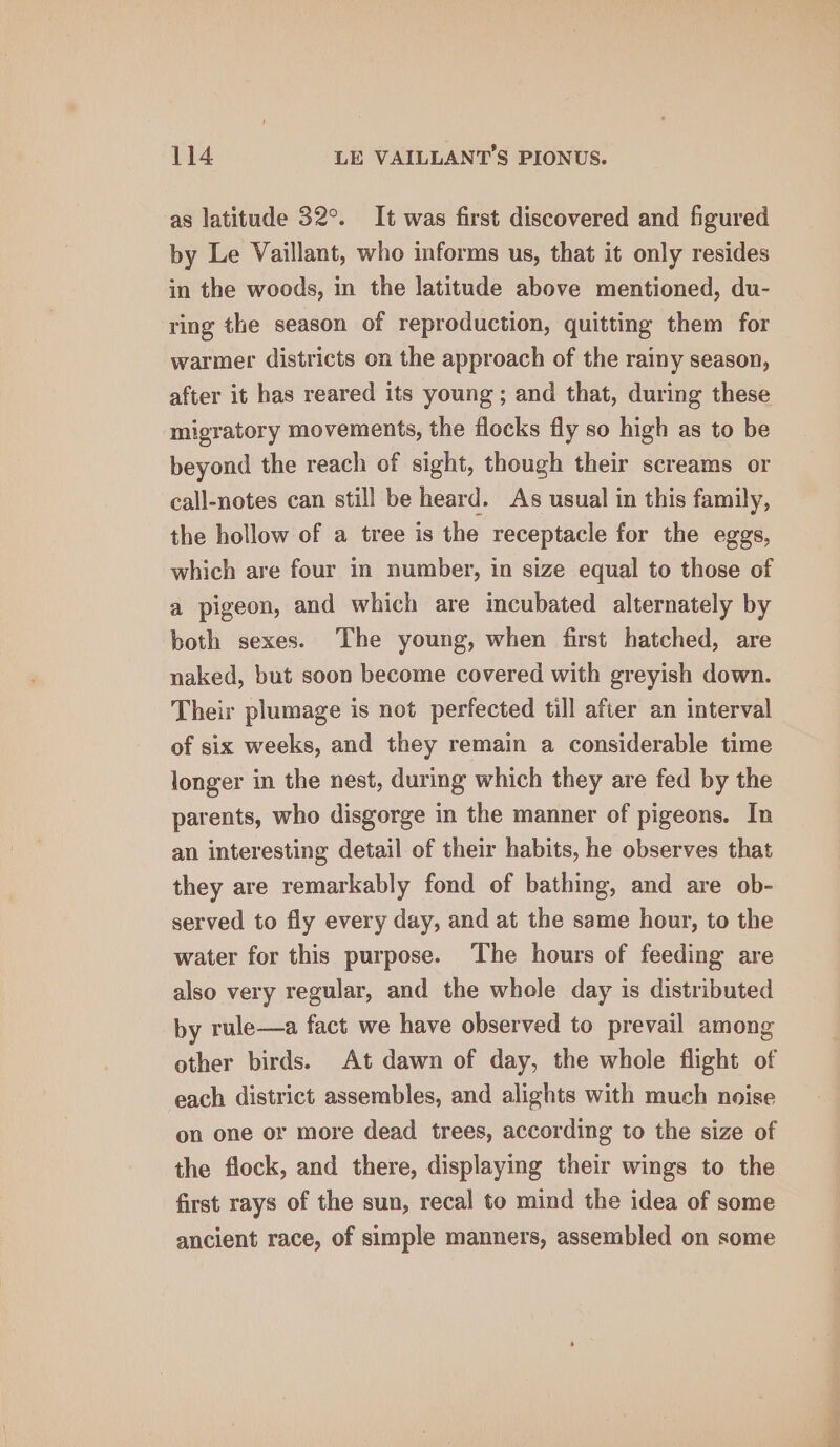 as latitude 32°. It was first discovered and figured by Le Vaillant, who informs us, that it only resides in the woods, in the latitude above mentioned, du- ring the season of reproduction, quitting them for warmer districts on the approach of the rainy season, after it has reared its young; and that, during these migratory movements, the flocks fly so high as to be beyond the reach of sight, though their screams or call-notes can still be heard. As usual in this family, the hollow of a tree is the receptacle for the eggs, which are four in number, in size equal to those of a pigeon, and which are incubated alternately by both sexes. The young, when first hatched, are naked, but soon become covered with greyish down. Their plumage is not perfected till after an interval of six weeks, and they remain a considerable time longer in the nest, during which they are fed by the parents, who disgorge in the manner of pigeons. In an interesting detail of their habits, he observes that they are remarkably fond of bathing, and are ob- served to fly every day, and at the same hour, to the water for this purpose. The hours of feeding are also very regular, and the whole day is distributed by rule—a fact we have observed to prevail among other birds. At dawn of day, the whole flight of each district assembles, and alights with much noise on one or more dead trees, according to the size of the flock, and there, displaying their wings to the first rays of the sun, recal to mind the idea of some ancient race, of simple manners, assembled on some