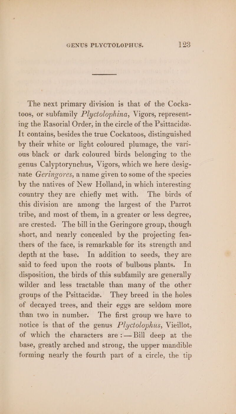 The next primary division is that of the Cocka- toos, or subfamily Plyctolophina, Vigors, represent- ing the Rasorial Order, in the circle of the Psittacide. It contains, besides the true Cockatoos, distinguished by their white or light coloured plumage, the vari- ous black or dark coloured birds belonging to the genus Calyptorynchus, Vigors, which we here desig- nate Geringores, a name given to some of the species by the natives of New Holland, in which interesting country they are chiefly met with. The birds of this division are among the largest of the Parrot tribe, and most of them, in a greater or less degree, are crested. The bill in the Geringore group, though short, and nearly concealed by the projecting fea- thers of the face, is remarkable for its strength and depth at the base. In addition to seeds, they are said to feed upon the roots of bulbous plants. In disposition, the birds of this subfamily are generally wilder and less tractable than many of the other groups of the Psittacide. They breed in the holes of decayed trees, and their eggs are seldom more than two in number. The first group we have to notice is that of the genus Plyctolophus, Vieillot, of which the characters are :—Bill deep at the base, greatly arched and strong, the upper mandible forming nearly the fourth part of a circle, the tip