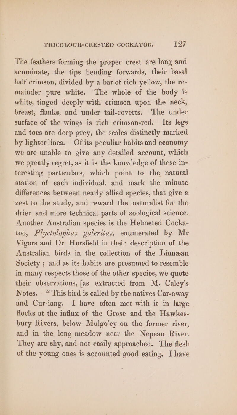 The feathers forming the proper crest are long and acuminate, the tips bending forwards, their basal half crimson, divided by a bar of rich yellow, the re- mainder pure white. The whole of the body is white, tinged deeply with crimson upon the neck, breast, flanks, and under tail-coverts. ‘The under surface of the wings is rich crimson-red. Its legs and toes are deep grey, the scales distinctly marked by lighter lines. Of its peculiar habits and economy we are unable to give any detailed account, which we greatly regret, as it is the knowledge of these in- teresting particulars, which point to the natural station of each individual, and mark the minute differences between nearly allied species, that give a zest to the study, and reward the naturalist for the drier and more technical parts of zoological science. Another Australian species is the Helmeted Cocka- too, Plyctolophus galeritus, enumerated by Mr Vigors and Dr Horsfield in their description of the Australian birds in the collection of the Linnean Society ; and as its habits are presumed to resemble in many respects those of the other species, we quote their observations, fas extracted from M. Caley’s Notes. “This bird is called by the natives Car-away and Cur-iang. I have often met with it in large flocks at the influx of the Grose and the Hawkes- bury Rivers, below Mulgo’ey on the former river, and in the long meadow near the Nepean River. They are shy, and not easily approached. The flesh of the young ones is accounted good eating. I have