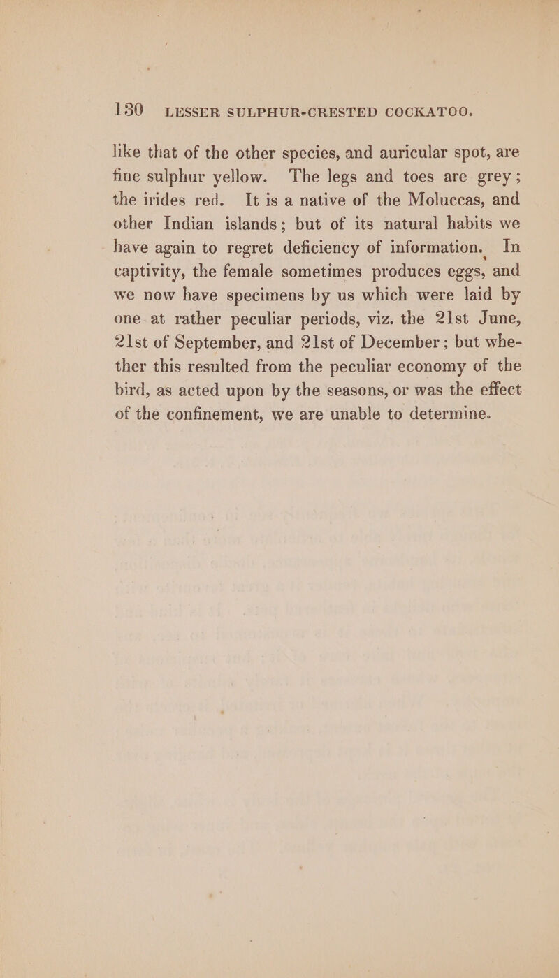 like that of the other species, and auricular spot, are fine sulphur yellow. The legs and toes are grey ; the irides red. It is a native of the Moluccas, and other Indian islands; but of its natural habits we have again to regret deficiency of information. In captivity, the female sometimes produces eggs, and we now have specimens by us which were laid by one at rather peculiar periods, viz. the 21st June, 21st of September, and 21st of December ; but whe- ther this resulted from the peculiar economy of the bird, as acted upon by the seasons, or was the effect of the confinement, we are unable to determine.