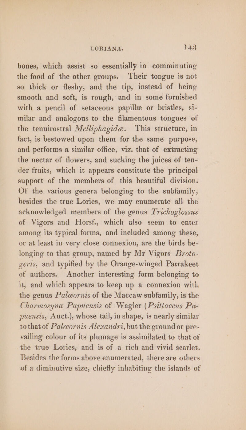 bones, which assist so essentially in comminuting the food of the other groups. Their tongue is not so thick or fleshy, and the tip, instead of being smooth and soft, is rough, and in some furnished with a pencil of setaceous papille or bristles, si- milar and analogous to the filamentous tongues of the tenuirostral Melliphagide. This structure, in fact, is bestowed upon them for the same purpose, and performs a similar office, viz. that of extracting the nectar of flowers, and sucking the juices of ten- der fruits, which it appears constitute the principal support of the members of this beautiful division. Of the various genera belonging to the subfamily, besides the true Lories, we may enumerate all the acknowledged members of the genus T'richoglossus of Vigors and Horsf., which also seem to enter among its typical forms, and included among these, or at least in very close connexion, are the birds be- longing to that group, named by Mr Vigors Broto- geris, and typified by the Orange-winged Parrakeet of authors. Another interesting form belonging to it, and which appears to keep up a connexion with the genus Pal@ornis of the Maccaw subfamily, is the Charmosyna Papuensis of Wagler (Psittaccus Pa- puensis, Auct.), whose tail, in shape, is nearly similar tothat of Paleornis Alexandri, but the ground or pre- vailing colour of its plumage is assimilated to that of the true Lories, and is of a rich and vivid scarlet. Besides the forms above enumerated, there are others of a diminutive size, chiefly inhabiting the islands of