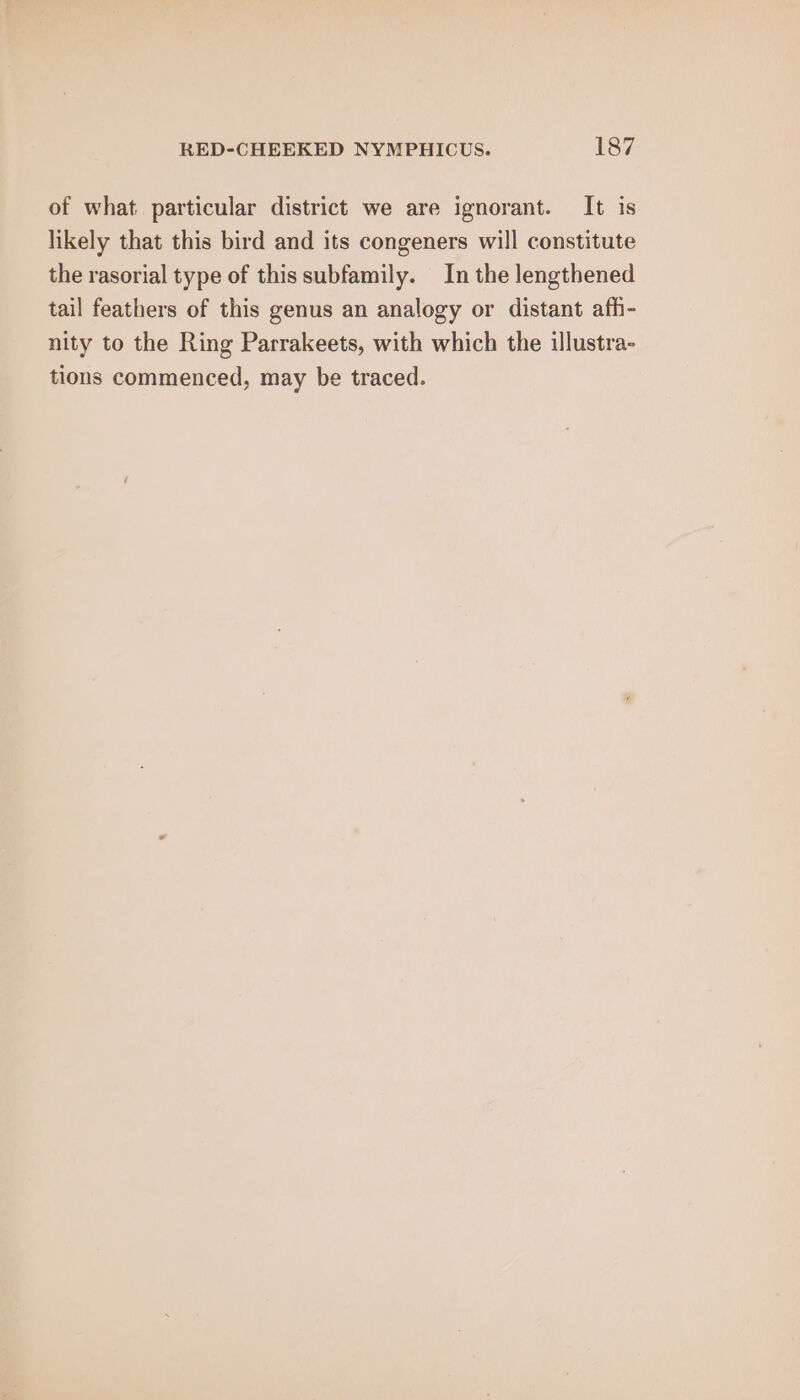 of what particular district we are ignorant. It is likely that this bird and its congeners will constitute the rasorial type of this subfamily. In the lengthened tail feathers of this genus an analogy or distant affi- nity to the Ring Parrakeets, with which the illustra- tions commenced, may be traced.