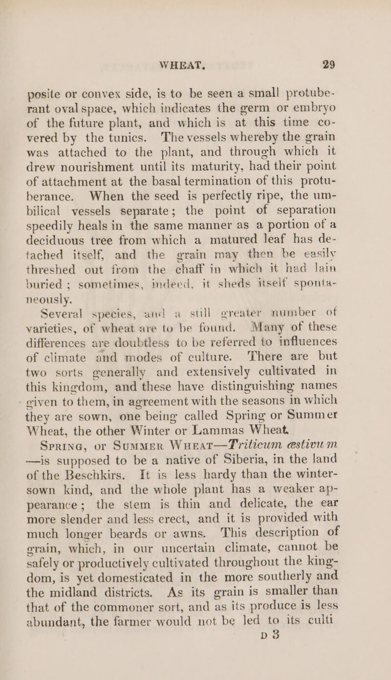 posite or convex side, is to be seen a small protube- rant oval space, which indicates the germ or embryo of the future plant, and which is at this time co- vered by the tunics. The vessels whereby the grain was attached to the plant, and through which it drew nourishment until its maturity, had their point of attachment at the basal termination of this protu- berance. When the seed is perfectly ripe, the um- bilical vessels separate; the point of separation speedily heals in the same manner as a portion of a deciduous tree from which a matured leaf has de- tached itself, and the grain may then be easily threshed out from the chaff in which it had lain buried ; sometimes, indeed, it sheds itself sponta- neously. Several species, and a still greater number of varieties, of wheat are to be found. Many of these differences are doubtless to be referred to influences of climate and modes of culture. There are but two sorts generally and extensively cultivated in this kingdom, and these have distinguishing names - given to them, in agreement with the seasons in which they are sown, one being called Spring or Summer Wheat, the other Winter or Lammas Wheat. Spring, or Summer Wueat—Triticum estivium —is supposed to be a native of Siberia, in the land of the Beschkirs. It is less hardy than the winter- sown kind, and the whole plant has a weaker ap- pearance; the stem is thin and delicate, the ear more slender and less erect, and it is provided with much longer beards or awns. This description of grain, which, in our uncertain climate, cannot be safely or productively cultivated throughout the king- dom, is yet domesticated in the more southerly and the midland districts. Ags its grain is smaller than that of the commoner sort, and as its produce is less abundant, the farmer would not be Jed to its culti DS
