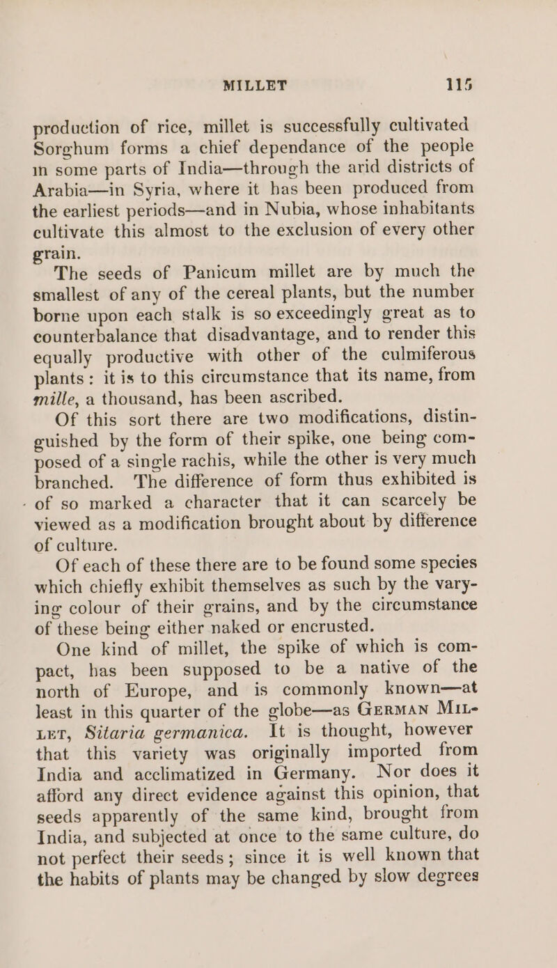 production of rice, millet is successfully cultivated Sorghum forms a chief dependance of the people in some parts of India—through the arid districts of Arabia—in Syria, where it has been produced from the earliest periods—and in Nubia, whose inhabitants cultivate this almost to the exclusion of every other grain. The seeds of Panicum millet are by much the smallest of any of the cereal plants, but the number borne upon each stalk is so exceedingly great as to counterbalance that disadvantage, and to render this equally productive with other of the culmiferous plants : it is to this circumstance that its name, from mille, a thousand, has been ascribed. Of this sort there are two modifications, distin- guished by the form of their spike, one being com- posed of a single rachis, while the other is very much branched. The difference of form thus exhibited is - of so marked a character that it can scarcely be viewed as a modification brought about by difference of culture. Of each of these there are to be found some species which chiefly exhibit themselves as such by the vary- ing colour of their grains, and by the circumstance of these being either naked or encrusted. One kind of millet, the spike of which is com- pact, has been supposed to be a native of the north of Europe, and is commonly known—at least in this quarter of the globe—as German MiL- LET, Sitaria germanica. It is thought, however that this variety was originally imported from India and acclimatized in Germany. Nor does it afford any direct evidence against this opinion, that seeds apparently of the same kind, brought from India, and subjected at once to the same culture, do not perfect their seeds; since it is well known that the habits of plants may be changed by slow degrees