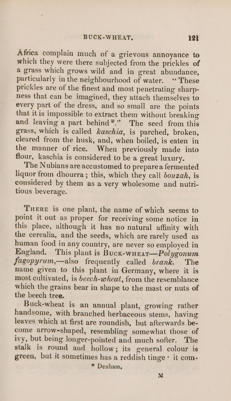 Africa complain much of a grievous annoyance to which they were there subjected from the prickles of a grass which grows wild and in great abundance, particularly in the neighbourhood of water. ‘These prickles are of the finest and most penetrating sharp- ness that can be imagined, they attach themselves to every part of the dress, and so small are the points that it is impossible to extract them without breaking and leaving a part behind*.” The seed from this grass, which is called kaschia, is parched, broken, cleared from the husk, and, when boiled, is eaten in the manner of rice. When previously made into flour, kaschia is considered to be a great luxury. The Nubians are accustomed to preparea fermented liquor from dhourra; this, which they call bowzah, is considered by them as a very wholesome and nutri- tious beverage. TuereE is one plant, the name of which seems to point it out as proper for receiving some notice in this place, although it has no natural affinity with the cerealia, and the seeds, which are rarely used as human food in any country, are never so employed in England. This plant is Buck-wurat—Polygonum fagopyrum,—also frequently called brank. The name given to this plant in Germany, where it is most cultivated, is beech-wheat, from the resemblance which the grains bear in shape to the mast or nuts of the beech tree. Buck-wheat is an annual plant, growing rather handsome, with branched herbaceous stems, having leaves which at first are roundish, but afterwards be- come arrow-shaped, resembling somewhat those of ivy, but being longer-pointed and much softer. The stalk is round and hollow; its general colour is green, but it sometimes has a reddish tinge * it com- * Denham, M