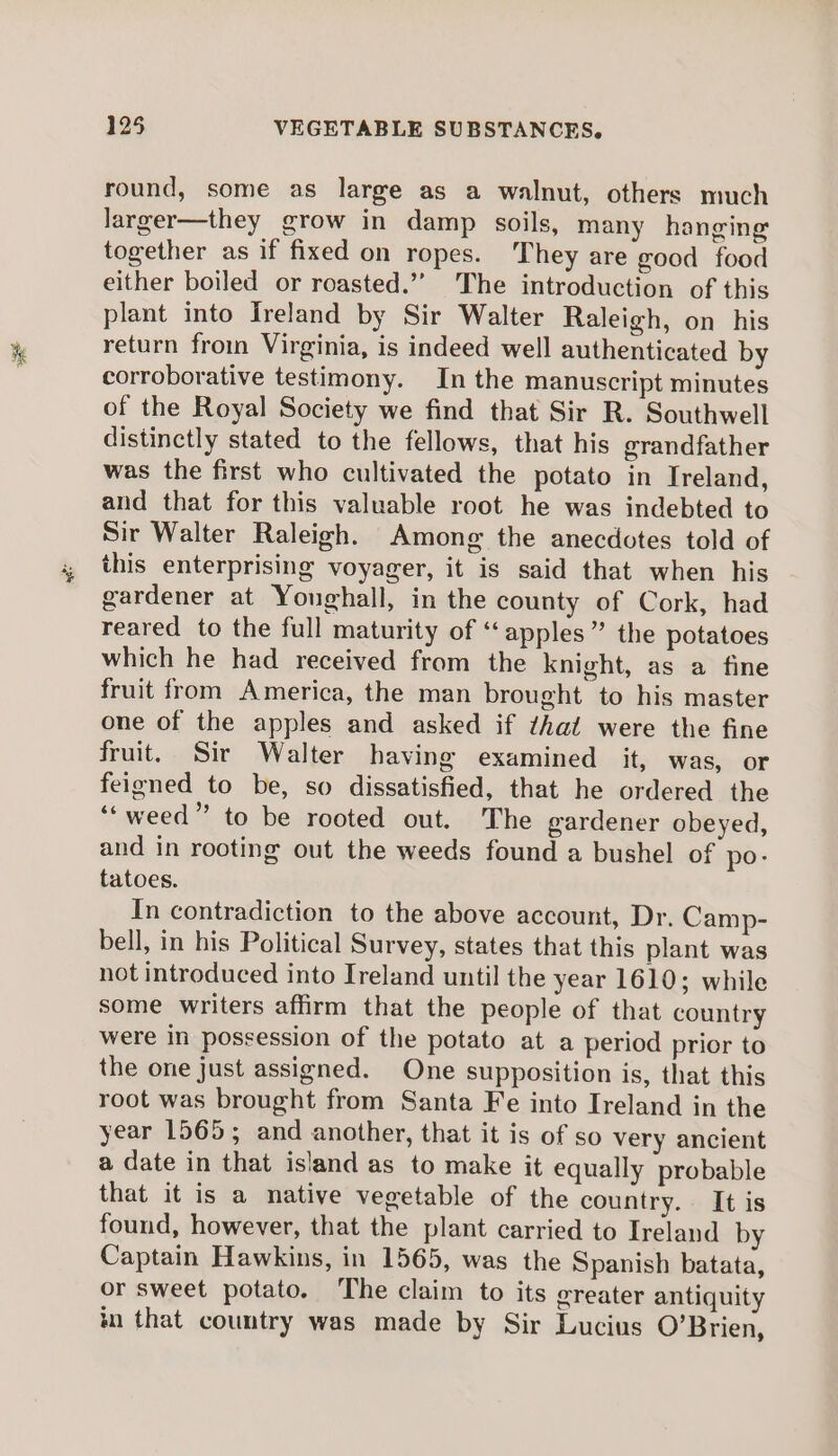 st round, some as large as a walnut, others much larger—they grow in damp soils, many hanging together as if fixed on ropes. They are good food either boiled or roasted.’ The introduction of this plant into Ireland by Sir Walter Raleigh, on his return from Virginia, is indeed well authenticated by corroborative testimony. In the manuscript minutes of the Royal Society we find that Sir R. Southwell distinctly stated to the fellows, that his grandfather was the first who cultivated the potato in Ireland, and that for this valuable root he was indebted to Sir Walter Raleigh. Among the anecdotes told of this enterprising voyager, it is said that when his gardener at Youghall, in the county of Cork, had reared to the full maturity of “apples” the potatoes which he had received from the knight, as a fine fruit from America, the man brought to his master one of the apples and asked if ¢hat were the fine fruit. Sir Walter having examined it, was, or feigned to be, so dissatisfied, that he ordered the “weed” to be rooted out. The gardener obeyed, and in rooting out the weeds found a bushel of po- tatoes. In contradiction to the above account, Dr. Camp- bell, in his Political Survey, states that this plant was not introduced into Ireland until the year 1610; while some writers affirm that the people of that country were in possession of the potato at a period prior to the one just assigned. One supposition is, that this root was brought from Santa Fe into Ireland in the year 1565; and another, that it is of so very ancient a date in that island as to make it equally probable that it is a native vegetable of the country. It is found, however, that the plant carried to Ireland by Captain Hawkins, in 1565, was the Spanish batata, or sweet potato. The claim to its greater antiquity in that country was made by Sir Lucius O’Brien,