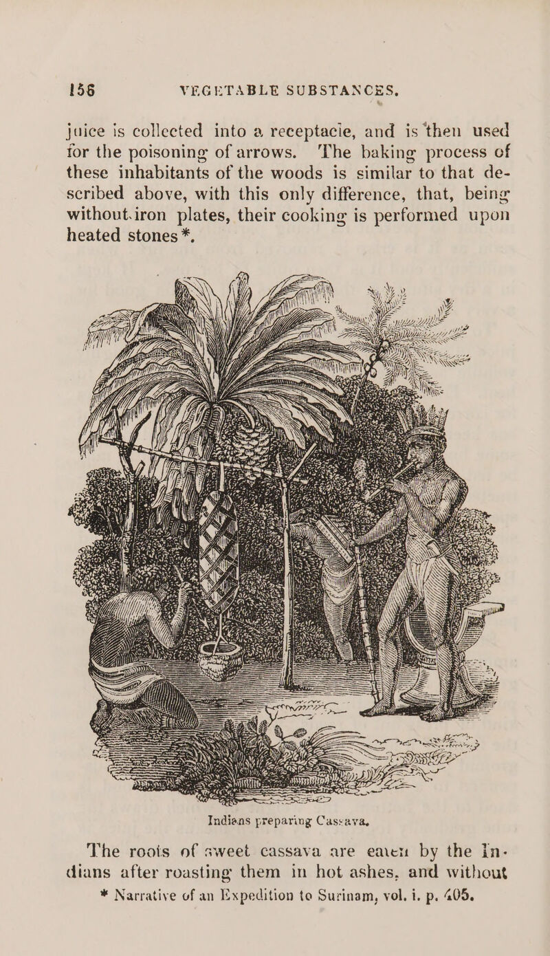 juice is collected into a receptacie, and is then used for the poisoning of arrows. ‘The baking process of these inhabitants of the woods is similar to that de- scribed above, with this only difference, that, being without.iron plates, their cooking is performed upon heated stones *, i 4 Indians preparing Casvava, The roois of sweet cassava are eaten by the in- dians after roasting them in hot ashes, and without * Narrative of an Expedition to Surinam, vol. i. p. 405,