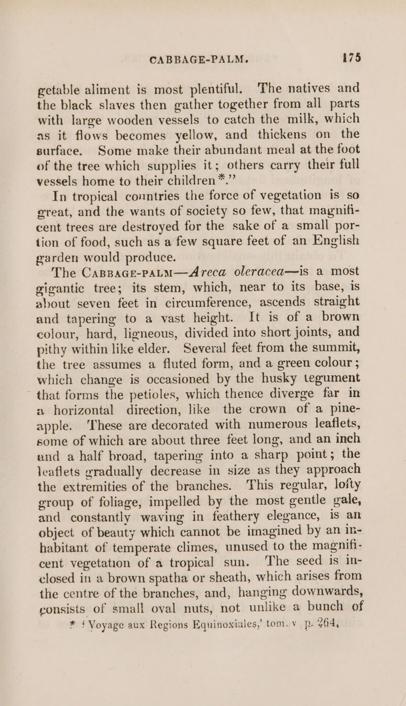 getable aliment is most plentiful. The natives and the black slaves then gather together from all parts with large wooden vessels to catch the milk, which as it flows becomes yellow, and thickens on the surface. Some make their abundant meal at the foot of the tree which supplies it; others carry their full vessels home to their children*.” In tropical countries the force of vegetation is so creat, and the wants of society so few, that magniti- cent trees are destroyed for the sake of a small por- tion of food, such as a few square feet of an English garden would produce. The Cappace-pALM—Areca oleracea—is a most gigantic tree; its stem, which, near to its base, is about seven feet in circumference, ascends straight and tapering to a vast height. It is of a brown colour, hard, ligneous, divided into short joints, and pithy within like elder. Several feet from the summit, the tree assumes a fluted form, and a green colour ; which change is occasioned by the husky tegument ~ that forms the petioles, which thence diverge far in a horizontal direction, like the crown of a pine- apple. ‘These are decorated with numerous leaflets, some of which are about three feet long, and an inch and a half broad, tapering into a sharp point; the leaflets gradually decrease in size as they approach the extremities of the branches. This regular, lofty group of foliage, impelled by the most gentle gale, and constantly waving in feathery elegance, is an object of beauty which cannot be imagined by an in- habitant of temperate climes, unused to the magnifi- cent vegetation of a tropical sun. The seed is in- closed in a brown spatha or sheath, which arises from the centre of the branches, and, hanging downwards, consists of small oval nuts, not unlike a bunch of * ‘Voyage aux Regions Equinoxiales, tom. v_ p. ¢f4,