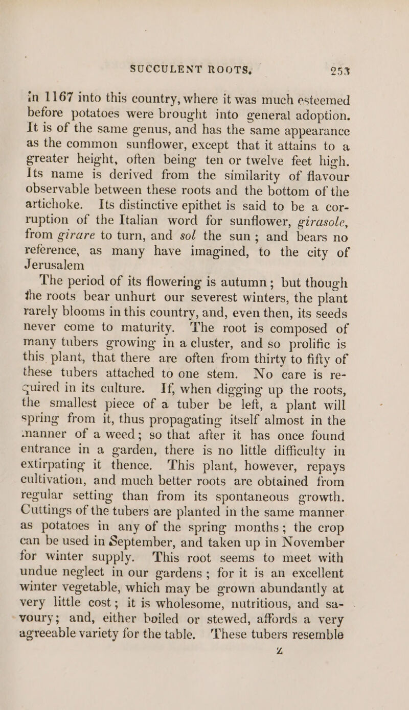 in 1167 into this country, where it was much esteemed before potatoes were brought into general adoption. It is of the same genus, and has the same appearance as the common sunflower, except that it attains to a greater height, often being ten or twelve feet high. Its name is derived from the similarity of flavour observable between these roots and the bottom of the artichoke. Its distinctive epithet is said to be a cor- ruption of the Italian word for sunflower, girasole, from girare to turn, and sol the sun; and bears no reference, as many have imagined, to the city of Jerusalem The period of its flowering is autumn; but though the roots bear unhurt our severest winters, the plant rarely blooms in this country, and, even then, its seeds never come to maturity. The root is composed of many tubers growing in a cluster, and so prolific is this plant, that there are often from thirty to fifty of these tubers attached to one stem. No care is re- guired in its culture. If, when digging up the roots, the smallest piece of a tuber be left, a plant will spring from it, thus propagating itself almost in the manner of a weed; so that after it has once found entrance in a garden, there is no little difficulty in extirpating it thence. ‘This plant, however, repays cultivation, and much better roots are obtained from regular setting than from its spontaneous growth. Cuttings of the tubers are planted in the same manner as potatoes in any of the spring months; the crop can be used in September, and taken up in November for winter supply. This root seems to meet with undue neglect in our gardens ; for it is an excellent winter vegetable, which may be grown abundantly at very little cost; it is wholesome, nutritious, and sa- voury; and, either boiled or stewed, affords a very agreeable variety for the table. ‘These tubers resemble “