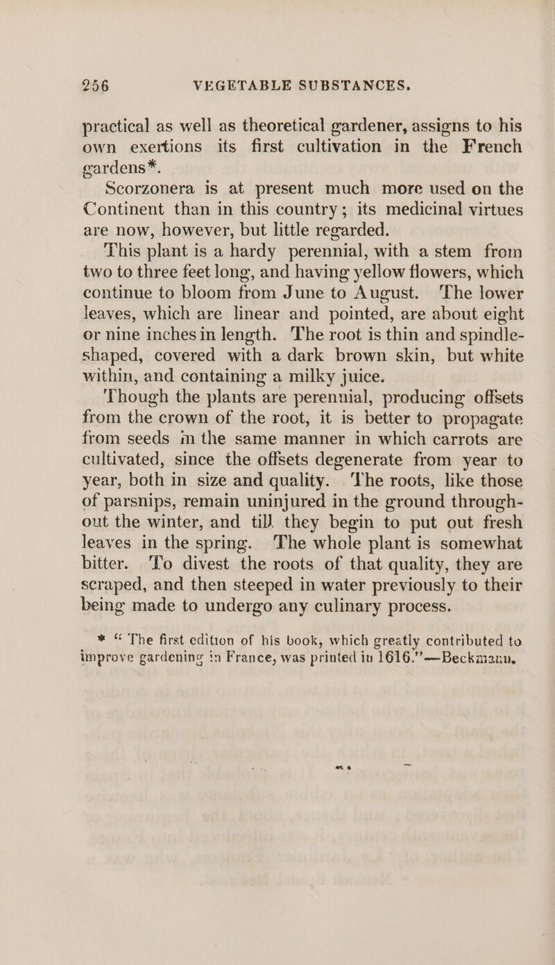 practical as well as theoretical gardener, assigns to his own exertions its first cultivation in the French gardens*. Scorzonera is at present much more used on the Continent than in this country; its medicinal virtues are now, however, but little regarded. This plant is a hardy perennial, with a stem from two to three feet long, and having yellow flowers, which continue to bloom from June to August. The lower leaves, which are linear and pointed, are about eight or nine inches in length. The root is thin and spindle- shaped, covered with a dark brown skin, but white within, and containing a milky juice. Though the plants are perennial, producing offsets from the crown of the root, it is better to propagate from seeds m the same manner in which carrots are cultivated, since the offsets degenerate from year to year, both in size and quality. ‘The roots, like those of parsnips, remain uninjured in the ground through- out the winter, and til) they begin to put out fresh leaves in the spring. The whole plant is somewhat bitter. To divest the roots of that quality, they are scraped, and then steeped in water previously to their being made to undergo any culinary process. * “ The first edition of his book, which greatly contributed to improve gardening in France, was printed iu 1616.”—Beckmann,