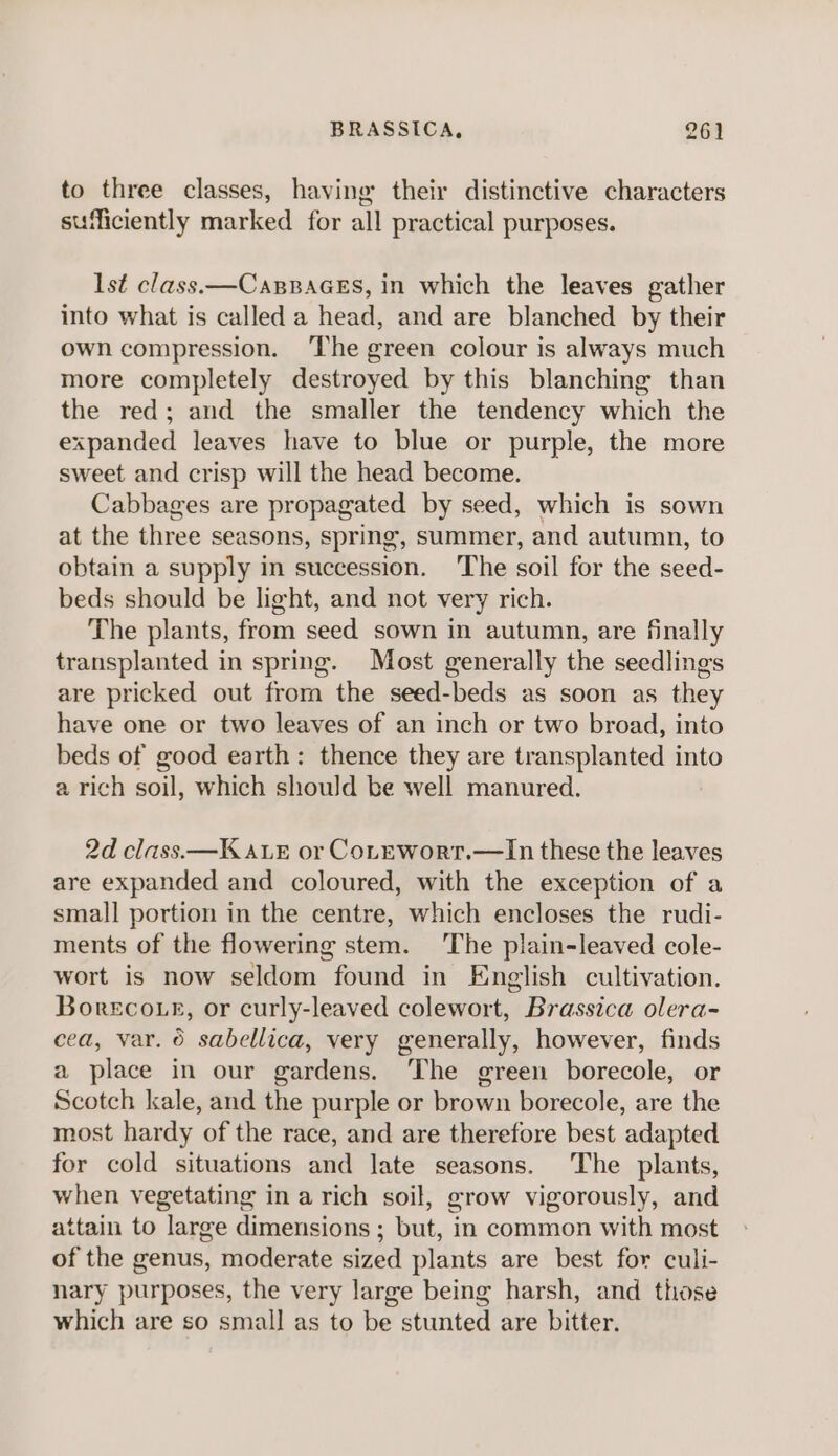 to three classes, having: their distinctive characters sufficiently marked for all practical purposes. Ist class—CapBaGEs, in which the leaves gather into what is called a head, and are blanched by their own compression. ‘The green colour is always much more completely destroyed by this blanching than the red; and the smaller the tendency which the expanded leaves have to blue or purple, the more sweet and crisp will the head become. Cabbages are propagated by seed, which is sown at the three seasons, spring, summer, and autumn, to obtain a supply in succession. ‘The soil for the seed- beds should be light, and not very rich. The plants, from seed sown in autumn, are finally transplanted in spring. Most generally the seedlings are pricked out from the seed-beds as soon as they have one or two leaves of an inch or two broad, into beds of good earth: thence they are transplanted into a rich soil, which should be well manured. 2d class —Ka.eE or CoLEwort.—In these the leaves are expanded and coloured, with the exception of a small portion in the centre, which encloses the rudi- ments of the flowering stem. The plain-leaved cole- wort is now seldom found in English cultivation. Borecouk, or curly-leaved colewort, Brassica olera- cea, var. 6 sabellica, very generally, however, finds a place in our gardens. The green borecole, or Scotch kale, and the purple or brown borecole, are the most hardy of the race, and are therefore best adapted for cold situations and late seasons. ‘The plants, when vegetating in a rich soil, grow vigorously, and attain to large dimensions ; but, in common with most of the genus, moderate sized plants are best for culi- nary purposes, the very large being harsh, and those which are so small as to be stunted are bitter.