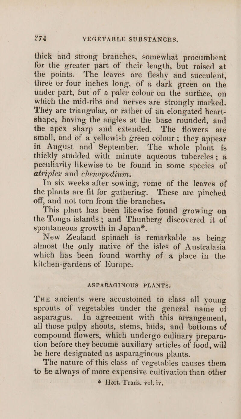 thick and strong branches, somewhat procumbent for the greater part of their length, but raised at the points. The leaves are fleshy and succulent, three or four inches long, of a dark green on the under part, but of a paler colour on the surface, on which the mid-ribs and nerves are strongly marked. They are triangular, or rather of an elongated heart- shape, having the angles at the base rounded, and the apex sharp and extended. The flowers are small, and of a yellowish green colour; they appear in August and September. The whole plant is thickly studded with minute aqueous tubercles; a peculiarity likewise to be found in some species of atriplex and chenopodium. In six weeks after sowing, some of the leaves of the plants are fit for gathering. These are pinched off, and not torn from the branches. This plant has been likewise found growing on the Tonga islands ; and Thunberg discovered it of spontaneous growth in Japan*. New Zealand spinach is remarkable as being almost the only native of the isles of Australasia which has been found worthy of a place in the kitchen-gardens of Europe. ASPARAGINOUS PLANTS. Tue ancients were accustomed to class all young sprouts of vegetables under the general name of asparagus. In agreement with this arrangement, all those pulpy shoots, stems, buds, and bottoms of compound flowers, which undergo culinary prepara- tion before they become auxiliary articles of food, will be here designated as asparaginous plants. The nature of this class of vegetables causes them to be always of more expensive cultivation than other * Hort. Trans. vol. iy,