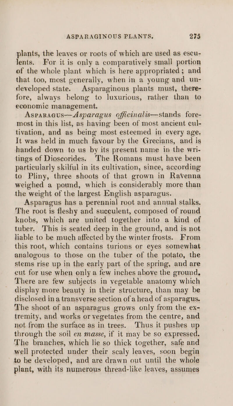 plants, the leaves or roots of which are used as escu- lents. For it is only a comparatively small portion of the whole plant which is here appropriated ; and that too, most generally, when in a young and un- developed state. Asparaginous plants must, there- fore, always belong to luxurious, rather than to economic management. Asparaaus—Asparagus officinalis—stands fore- most in this list, as having been of most ancient cul- tivation, and as being most esteemed in every age. It was held in much favour by the Grecians, and is handed down to us by its present name in the wri- tings of Dioscorides. 'The Romans must have been particularly skilful in its cultivation, since, according to Pliny, three shoots of that grown in Ravenna weighed a pound, which is considerably more than the weight of the largest English asparagus. Asparagus has a perennial root and annual stalks. The root is fleshy and succulent, composed of round knobs, which are united together into a kind of tuber. This is seated deep in the ground, and is not liable to be much affected by the winter frosts. From this root, which contains turions or eyes somewhat analogous to those on the tuber of the potato, the stems rise up in the early part of the spring, and are cut for use when only a few inches above the ground, There are few subjects in vegetable anatomy which display more beauty in their structure, than may be disclosed in a transverse section of a head of asparagus. The shoot of an asparagus grows only from the ex- tremity, and works or vegetates from the centre, and not from the surface as in trees. ‘Thus it pushes up through the soil en masse, if it may be so expressed. The branches, which lie so thick together, safe and well protected under their scaly leaves, soon begin to be developed, and are drawn out until the whole plant, with its numerous thread-like leaves, assumes