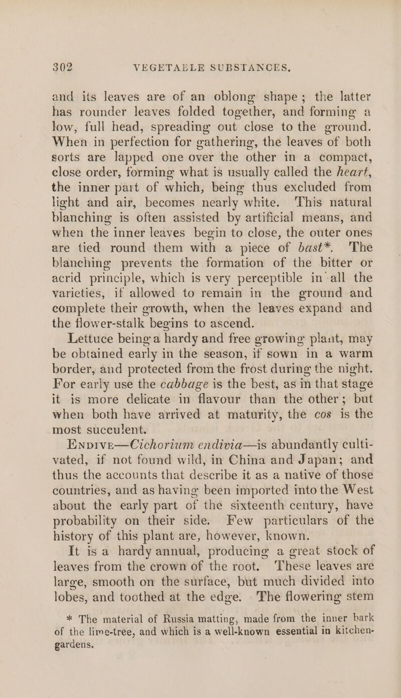 and its leaves are of an oblong shape; the latter has rounder leaves folded together, and forming a low, full head, spreading out close to the ground. When in perfection for gathering, the leaves of both sorts are lapped one over the other in a compact, close order, forming what is usually called the heart, the inner part of which, being thus excluded from light and air, becomes nearly white. This natural blanching is often assisted by artificial means, and when the inner leaves begin to close, the outer ones are tied round them with a piece of bast*. The blanching prevents the formation of the bitter or acrid principle, which is very perceptible in all the varieties, if allowed to remain in the ground and complete their growth, when the leaves expand and the flower-stalk begins to ascend. Lettuce being’a hardy and free growing plaut, may be obtained early in the season, if sown in a warm border, and protected from the frost during the night. For early use the cabbage is the best, as in that stage it is more delicate in flavour than the other; but when both have arrived at maturity, the cos is the most succulent. Enpive—Cichorium endivia—is abundantly culti- vated, if not found wild, in China and Japan; and thus the accounts that describe it as a native of those countries, and as having been imported into the West about the early part of the sixteenth century, have probability on their side. Few particulars of the history of this plant are, however, known. It is a hardy annual, producing a great stock of leaves from the crown of the root. These leaves are large, smooth on the surface, but much divided into lobes, and toothed at the edge. The flowering stem * The material of Russia matting, made from the inner bark of the lime-tree, and which is a well-known essential in kitchen- gardens.