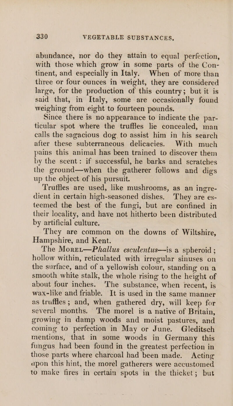 abundance, nor do they attain to equal perfection, with those which grow in some parts of the Con- tinent, and especially in Italy. When of more than three or four ounces in weight, they are considered large, for the production of this country; but it is said that, in Italy, some are occasionally found weighing from eight to fourteen pounds. Since there is no appearance to indicate the par- ticular spot where the truffles lie concealed, man calls the sagacious dog. to assist him in his search after these subterraneous delicacies. With much pains this animal has been trained to discover them by the scent: if successful, he barks and scratches the ground—when the gatherer follows and digs up the object of his pursuit. Truffles are used, like mushrooms, as an ingre- dient in certain high-seasoned dishes. They are es- teemed the best of the fungi, but are confined in their locality, and have not hitherto been distributed by artificial culture. They are common on the downs of Wiltshire, Hampshire, and Kent. The Moret—Phallus esculentus—is a spheroid ; hollow within, reticulated with irregular sinuses on the surface, and of a yellowish colour, standing on a smooth white stalk, the whole rising to the height of about four inches. The substance, when recent, is wax-like and friable. It is used in the same manner as truffles; and, when gathered dry, will keep for several months. The morel is a native of Britain, growing in damp woods and moist pastures, and coming to perfection in May or June. Gleditsch mentions, that in some woods in Germany this fungus had been found in the greatest perfection in those parts where charcoal had been made. Acting apon this hint, the morel gatherers were accustomed to make fires in certain spots in the thicket; but