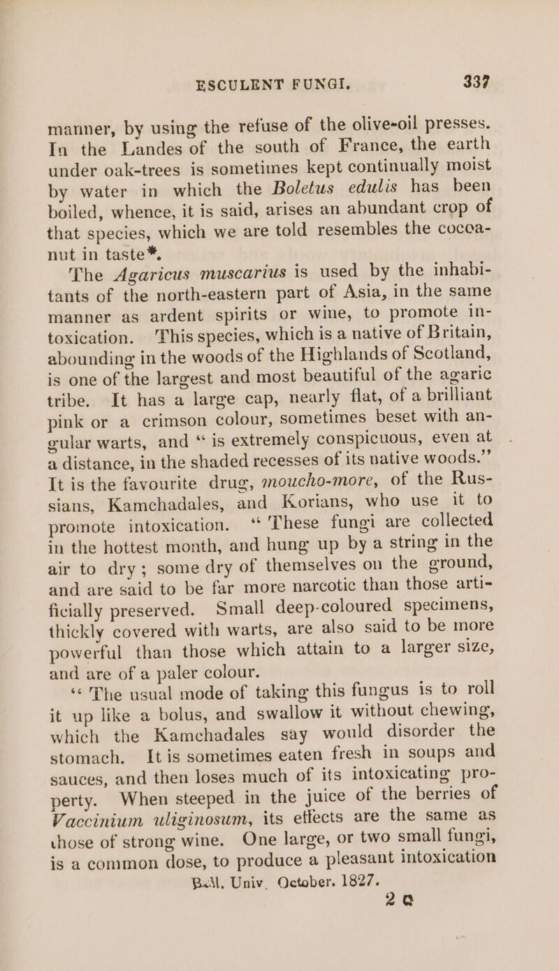 manner, by using the refuse of the olive-oil presses. In the Landes of the south of France, the earth under oak-trees is sometimes kept continually moist by water in which the Boletus edulis has been boiled, whence, it is said, arises an abundant crop of that species, which we are told resembles the cocea- nut in taste*. The Agaricus muscarius is used by the inhabi- tants of the north-eastern part of Asia, in the same manner as ardent spirits or wine, to promote in- toxication. This species, which is a native of Britain, abounding in the woods of the Highlands of Scotland, is one of the largest and most beautiful of the agaric tribe. It has a large cap, nearly flat, of a brilliant pink or a crimson colour, sometimes beset with an- gular warts, and “ is extremely conspicuous, even at a distance, in the shaded recesses of its native woods.’’ It is the favourite drug, moucho-more, of the Rus- sians, Kamchadales, and Korians, who use it to promote intoxication. ‘“ These fungi are collected in the hottest month, and hung up by a string in the air to dry; some dry of themselves on the ground, and are said to be far more narcotic than those arti- ficially preserved. Small deep-coloured specimens, thickly covered with warts, are also said to be more powerful than those which attain to a larger size, and are of a paler colour. ‘&lt;The usual mode of taking this fungus is to roll it up like a bolus, and swallow it without chewing, which the Kamehadales say would disorder the stomach. It is sometimes eaten fresh in soups and sauces, and then loses much of its intoxicating pro- perty. When steeped in the juice of the berries of Vaccinium uliginosum, its effects are the same as those of strong wine. One large, or two small fungi, is a common dose, to produce a pleasant intoxication Ball, Univ. October. 1827. 2a