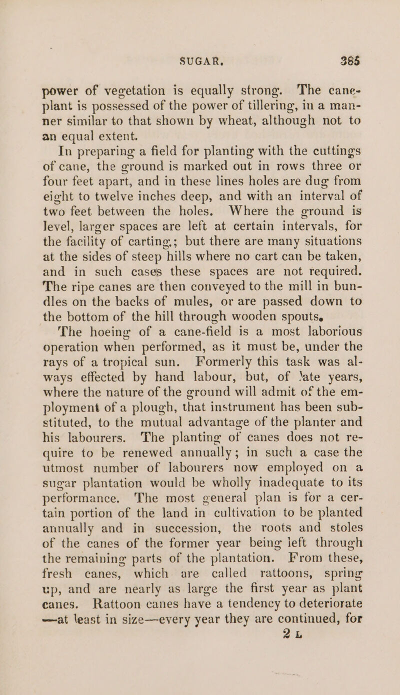 power of vegetation is equally strong. The cane- plant is possessed of the power of tillering, in a man- ner similar to that shown by wheat, although not to an equal extent. In preparing a field for planting with the cuttings of cane, the ground is marked out in rows three or four feet apart, and in these lines holes are dug from eight to twelve inches deep, and with an interval of two feet between the holes. Where the ground is level, larger spaces are left at certain intervals, for the facility of carting,; but there are many situations at the sides of steep hills where no cart can be taken, and in such cases these spaces are not required. The ripe canes are then conveyed to the mill in bun- dles on the backs of mules, or are passed down to the bottom of the hill through wooden spouts. The hoeing of a cane-field is a most laborious operation when performed, as it must be, under the rays of a tropical sun. Formerly this task was al- ways effected by hand labour, but, of ‘ate years, where the nature of the ground will admit of the em- ployment of a plough, that instrument has been sub- stituted, to the mutual advantage of the planter and his labourers. The planting of canes does not re- quire to be renewed annually; in such a case the utmost number of labourers now employed on a sugar plantation would be wholly inadequate to its performance. The most general plan is for a cer- tain portion of the land in cultivation to be planted annually and in succession, the roots and _ stoles of the canes of the former year being left through the remaining parts of the plantation. From these, fresh canes, which are called rattoons, spring up, and are nearly as large the first year as plant canes. Rattoon canes have a tendency to deteriorate —at least in size—every year they are continued, for 2L