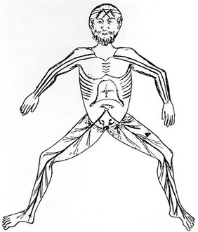 M0000403: Male generative system, late 13th century, from Choulant: <i>History and bibliography of anatomic illustration</i>