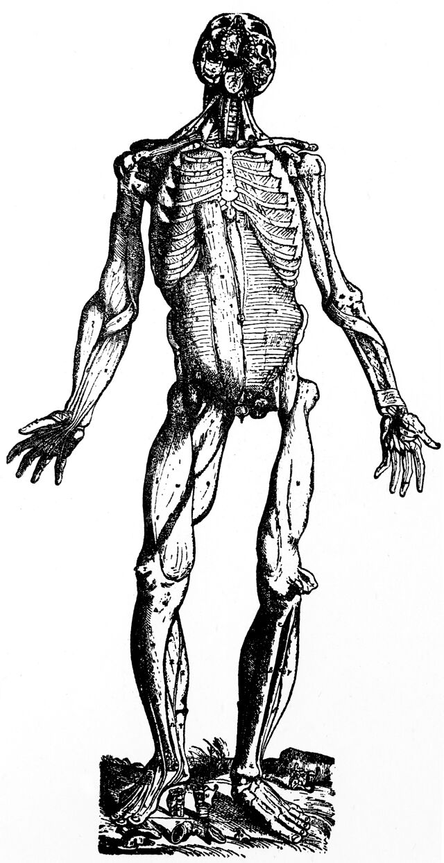 No text description is available for this image