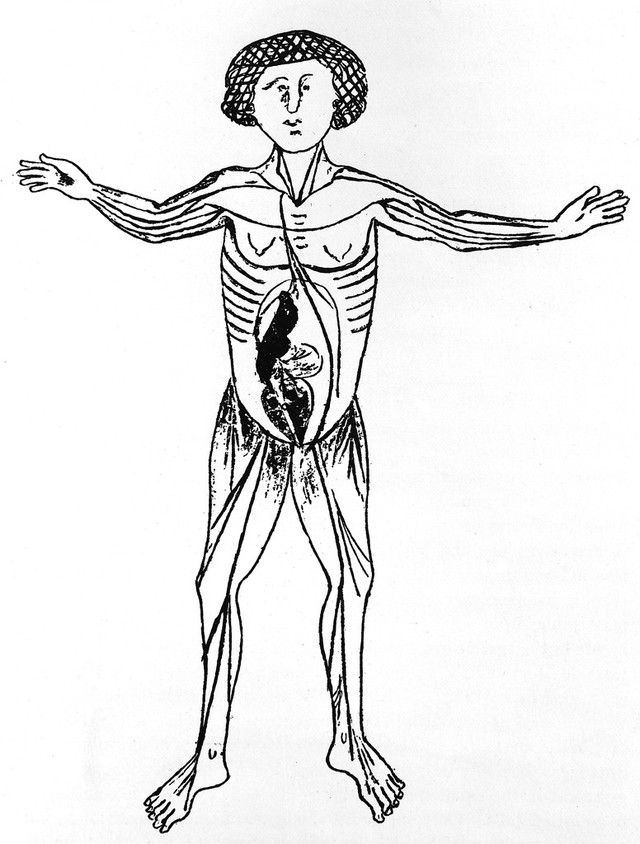 digitised image 1