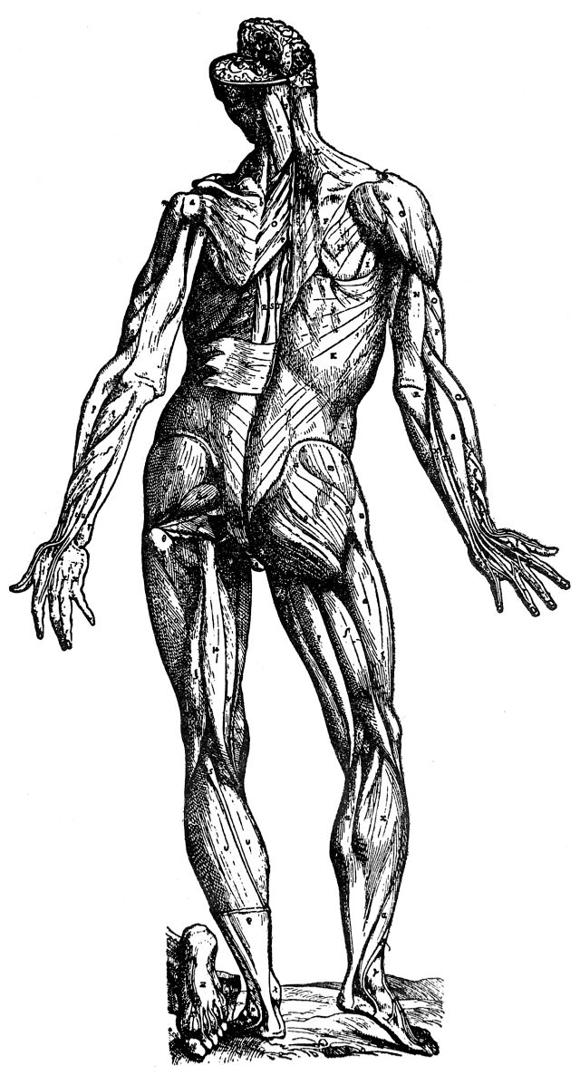 digitised image 1