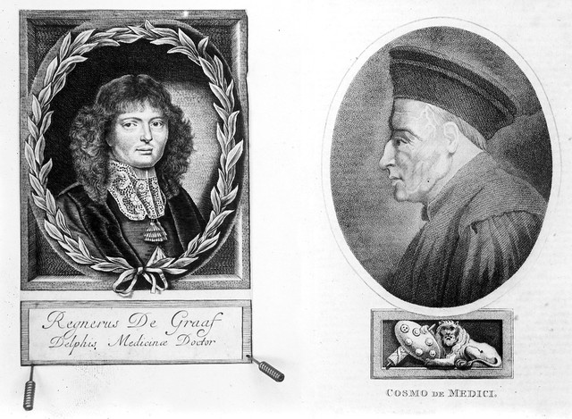 digitised image 1