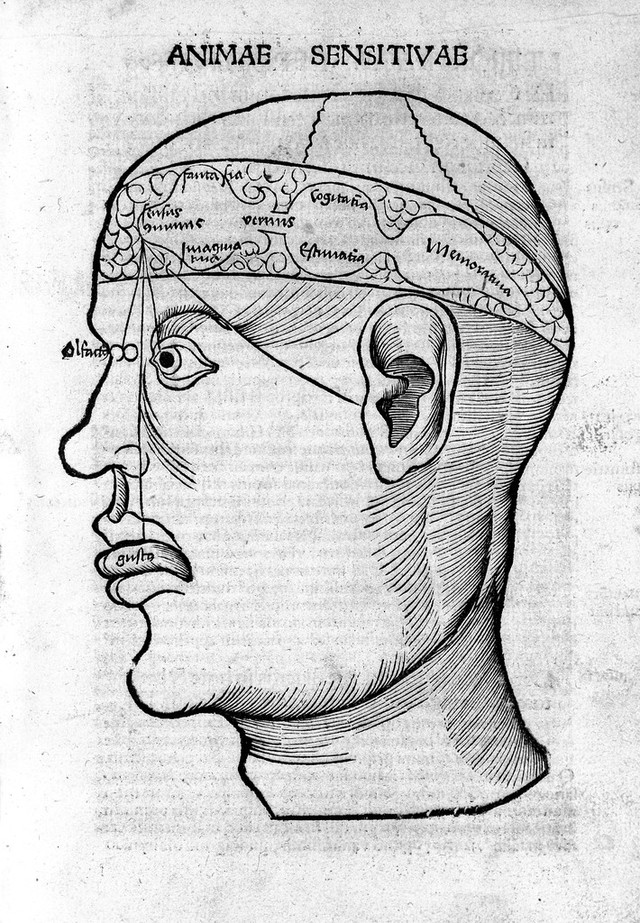 digitised image 1